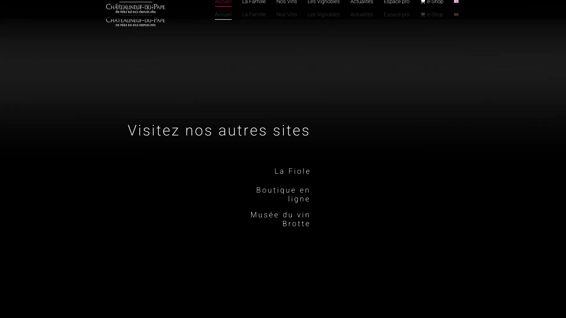 Aperçu du site