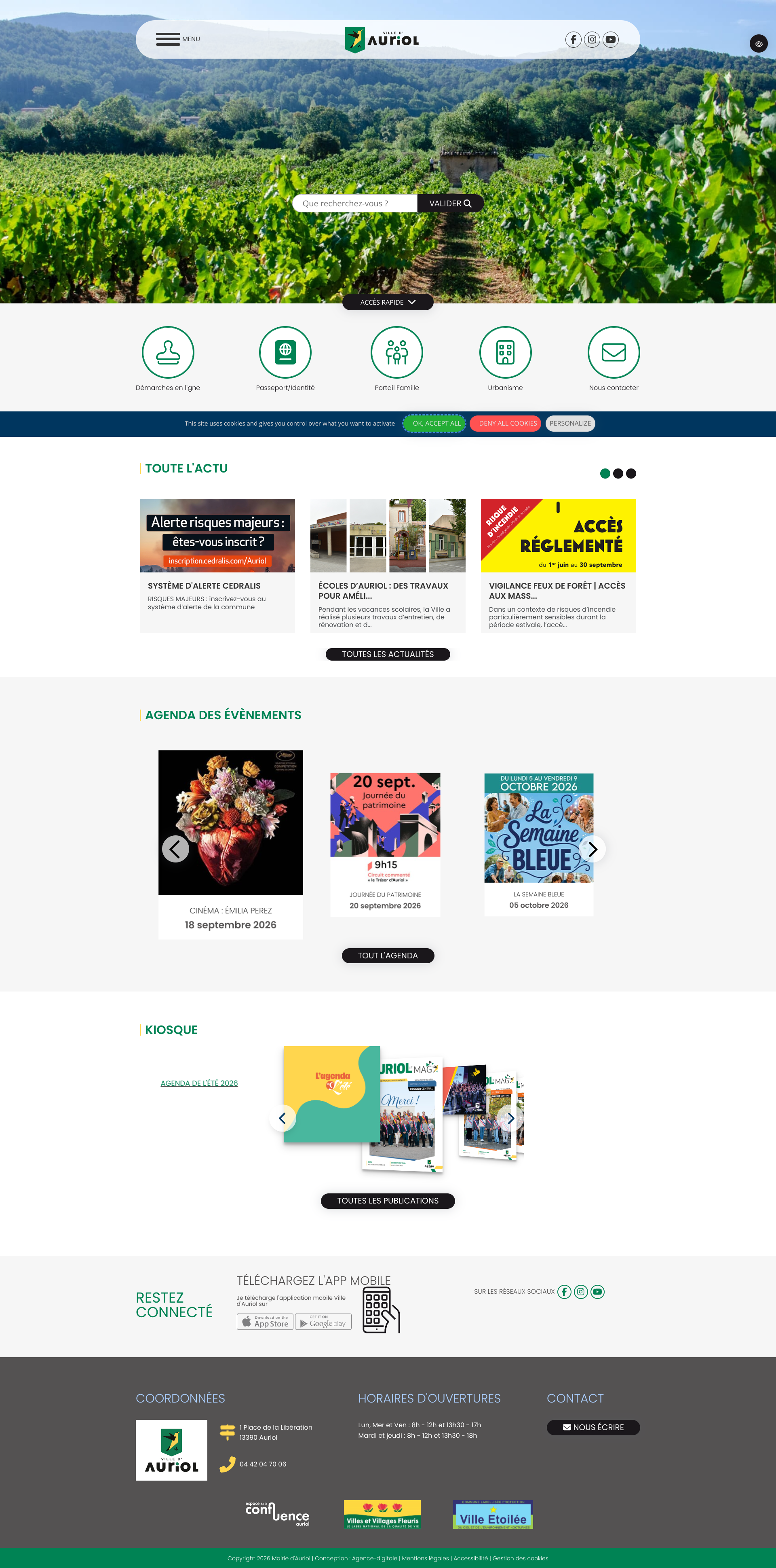 Aperçu du site