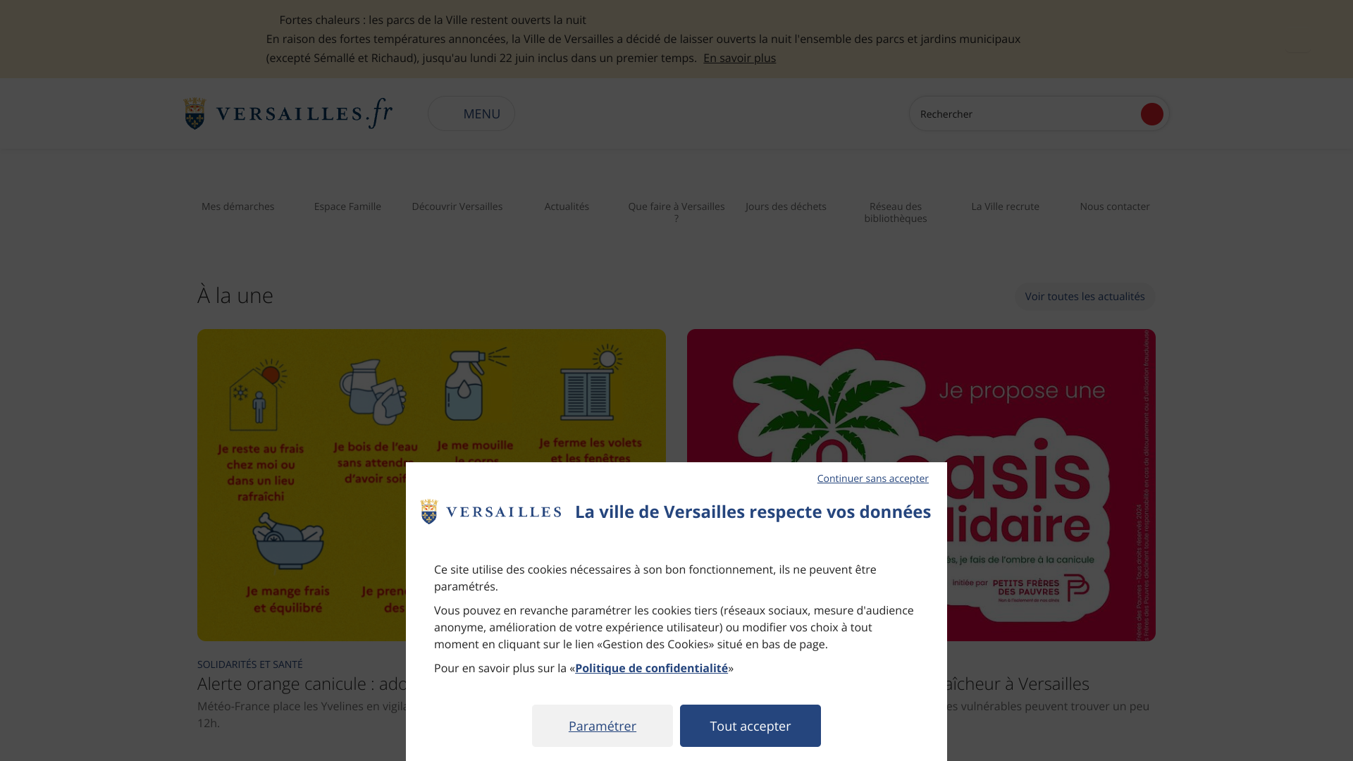 Aperçu du site