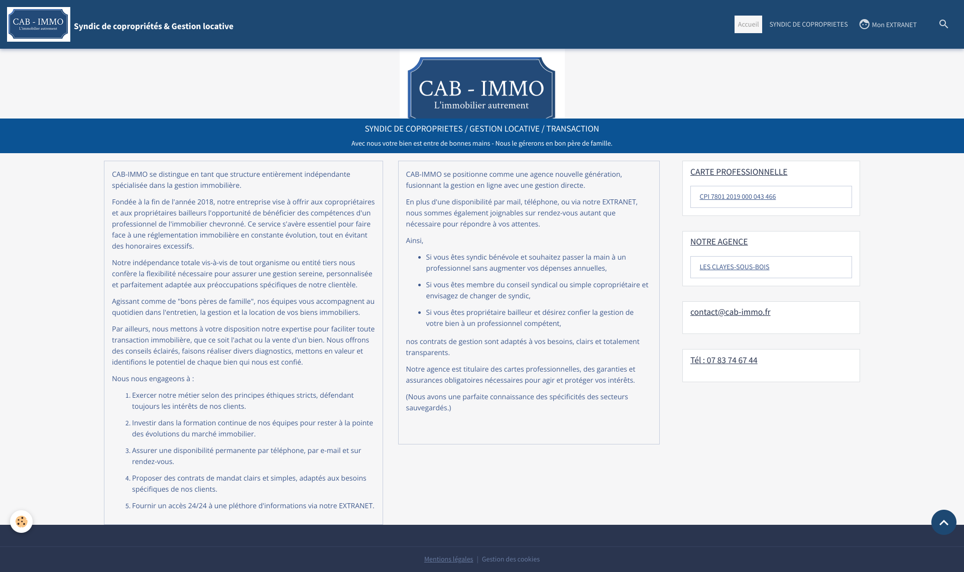 Aperçu du site