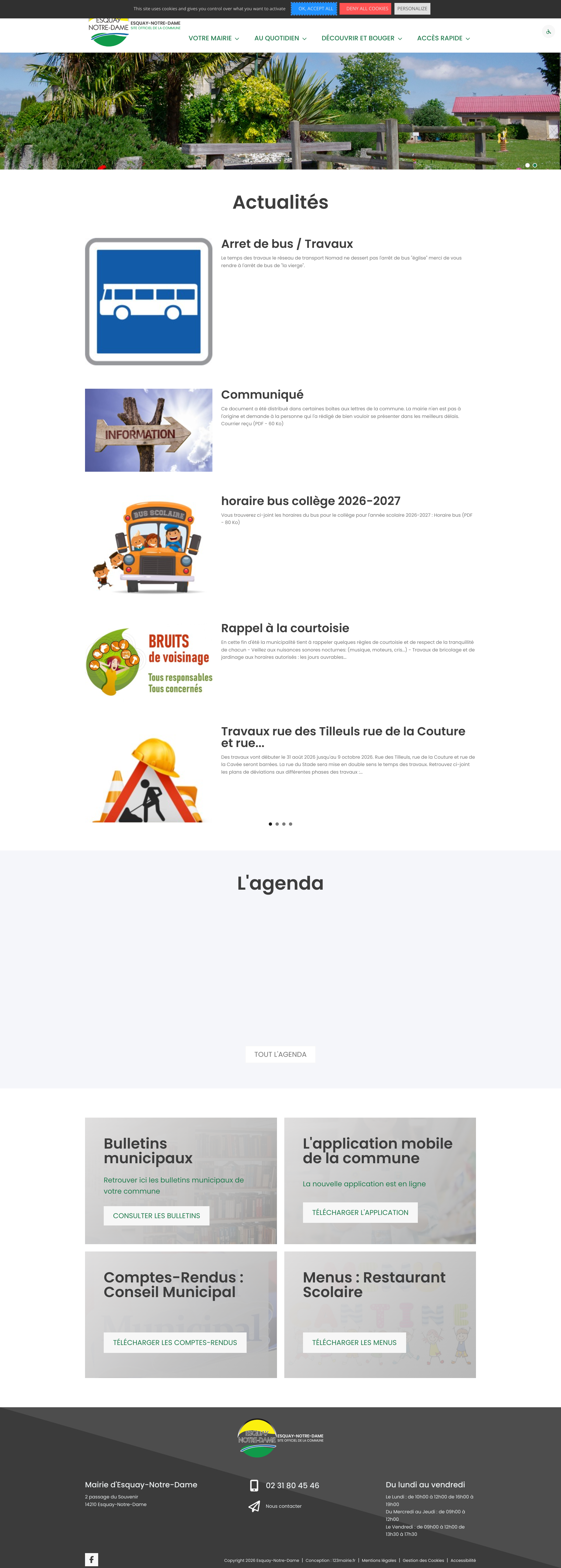 Aperçu du site