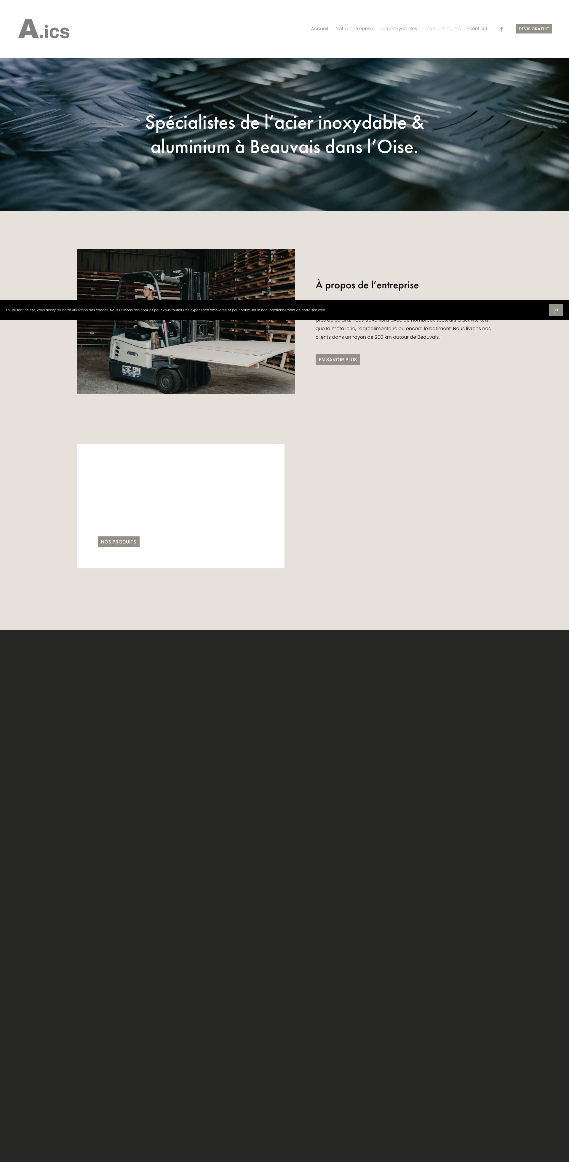 Aperçu du site