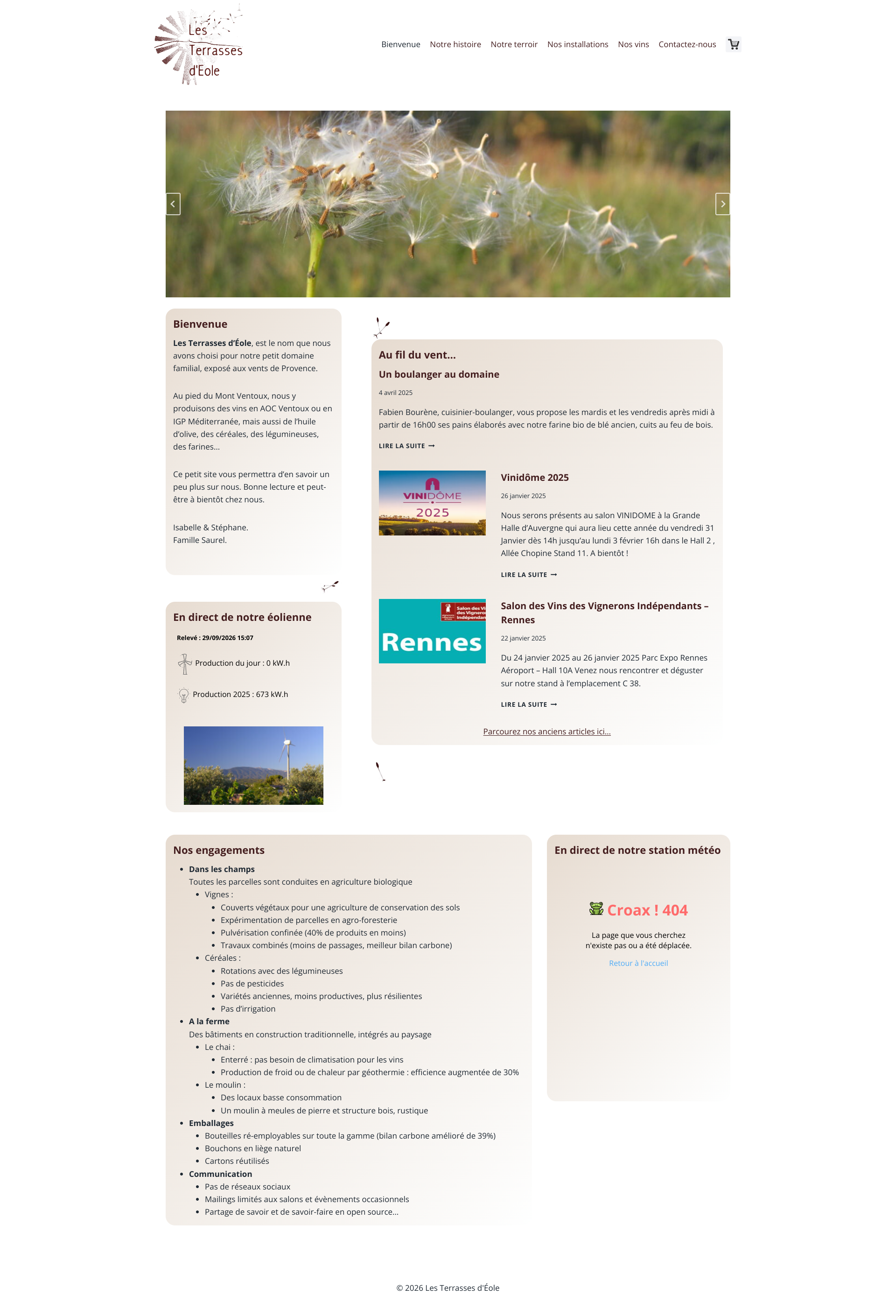 Aperçu du site