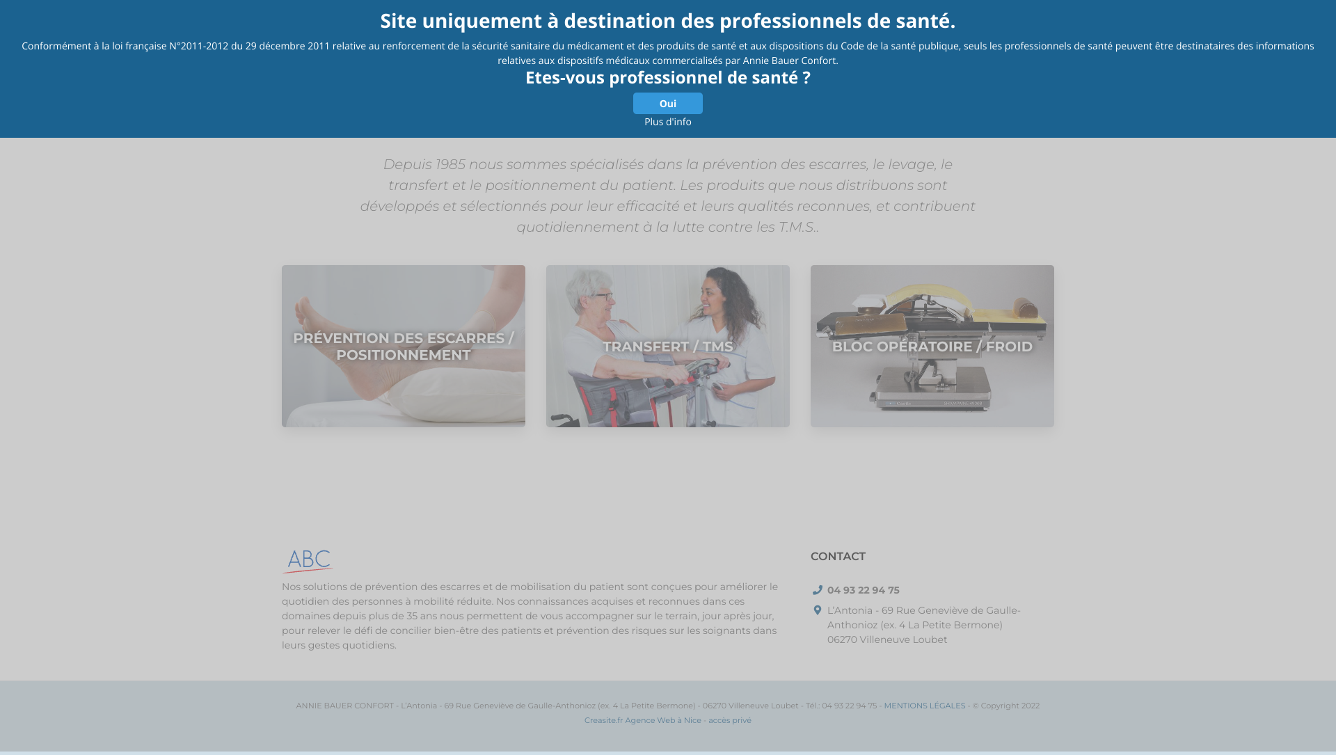 Aperçu du site