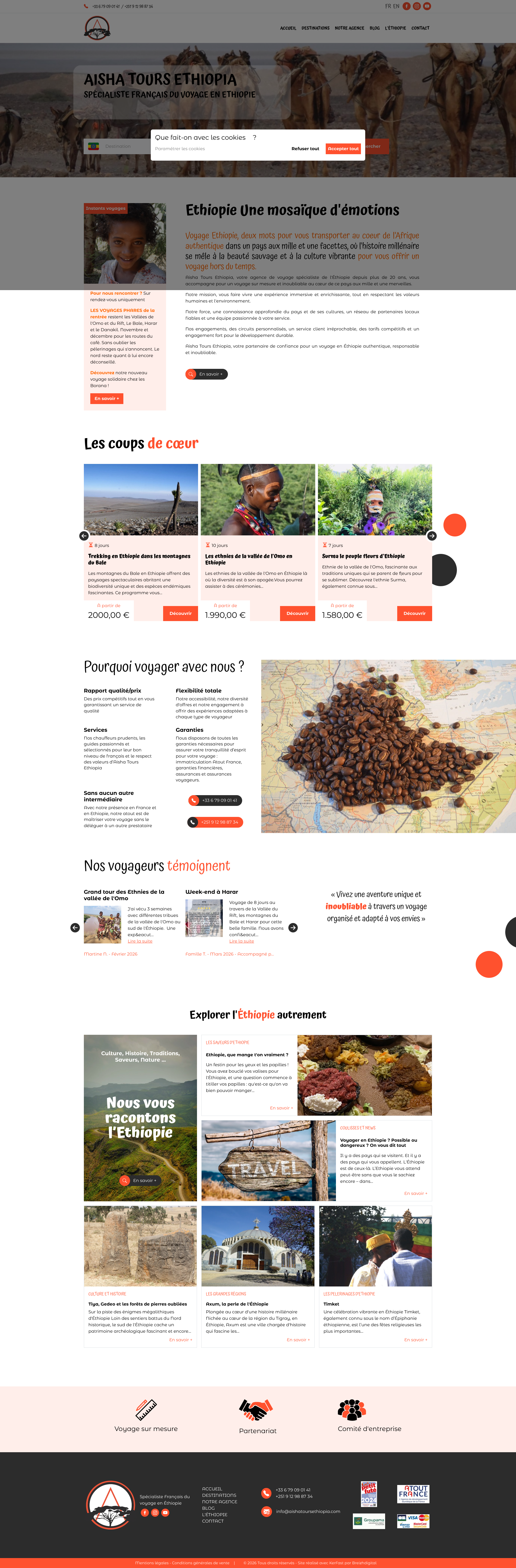 Aperçu du site