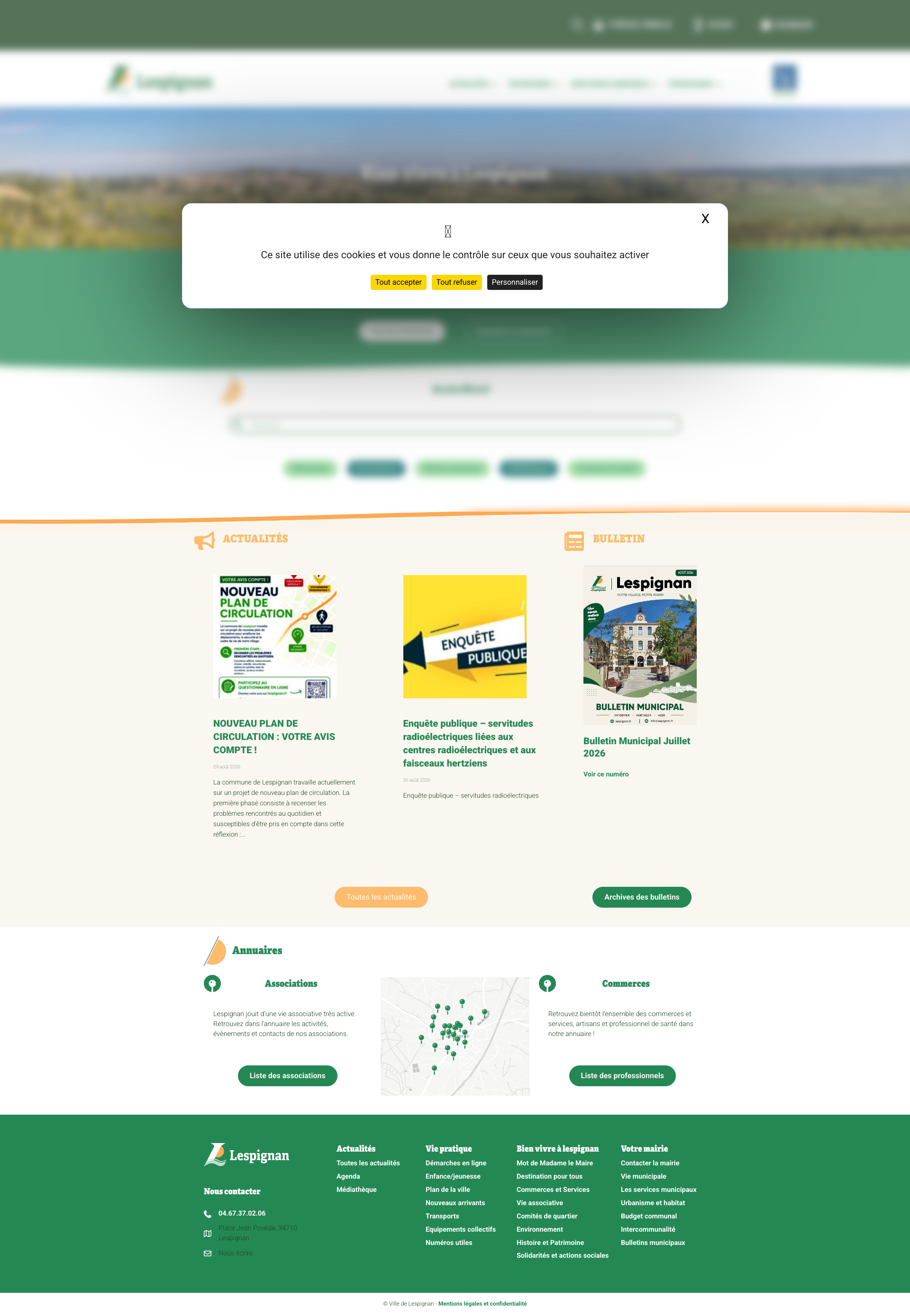Aperçu du site
