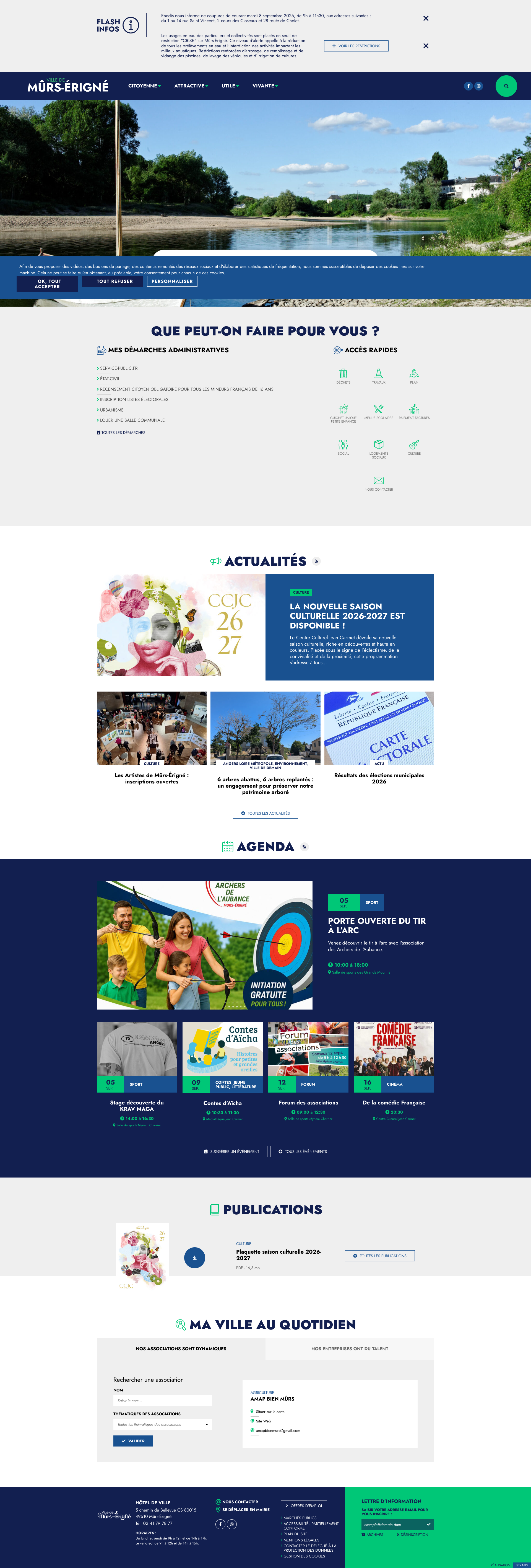 Aperçu du site