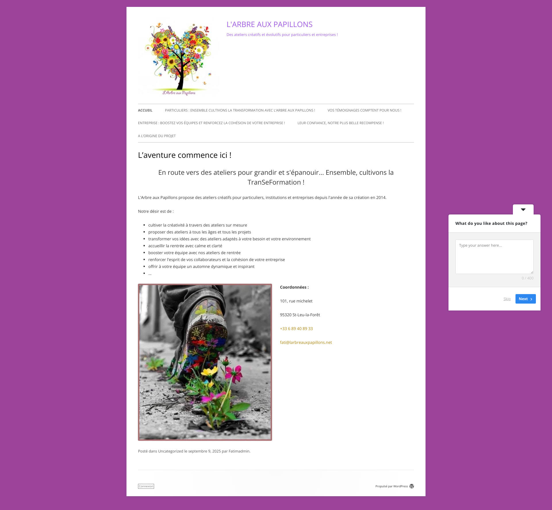 Aperçu du site