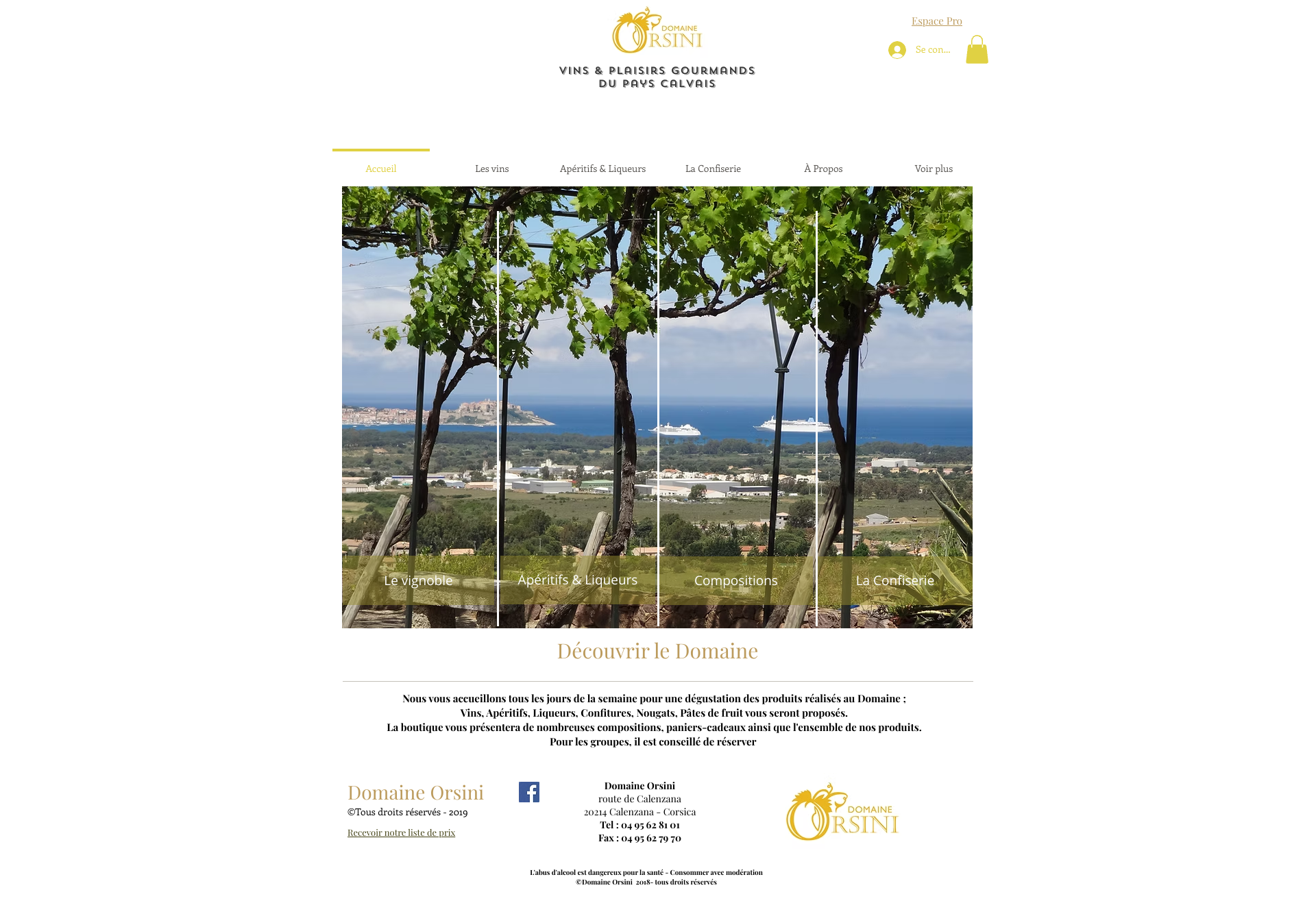 Aperçu du site