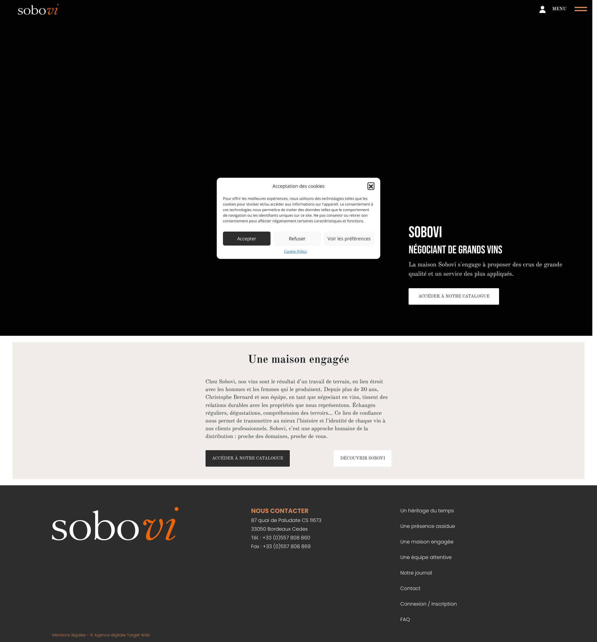 Aperçu du site