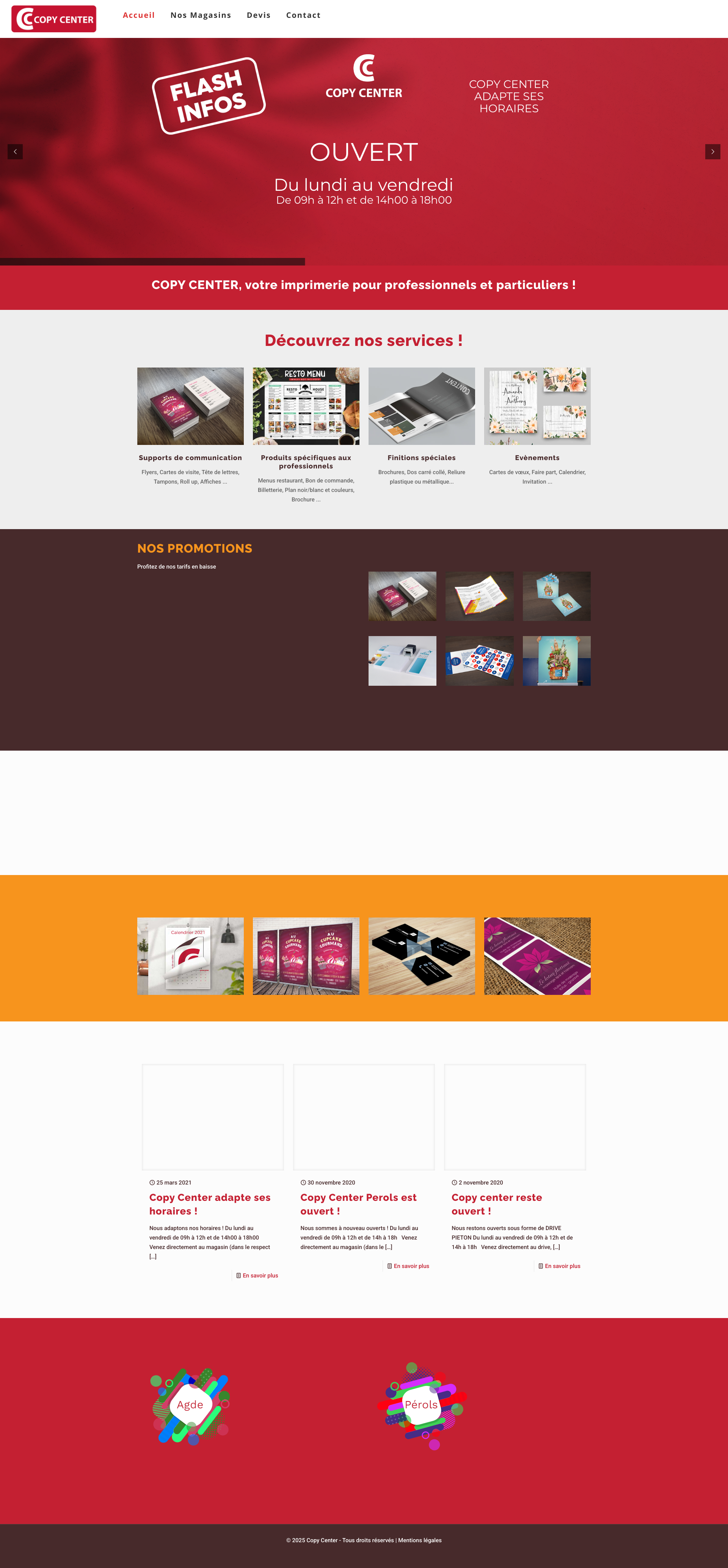 Aperçu du site