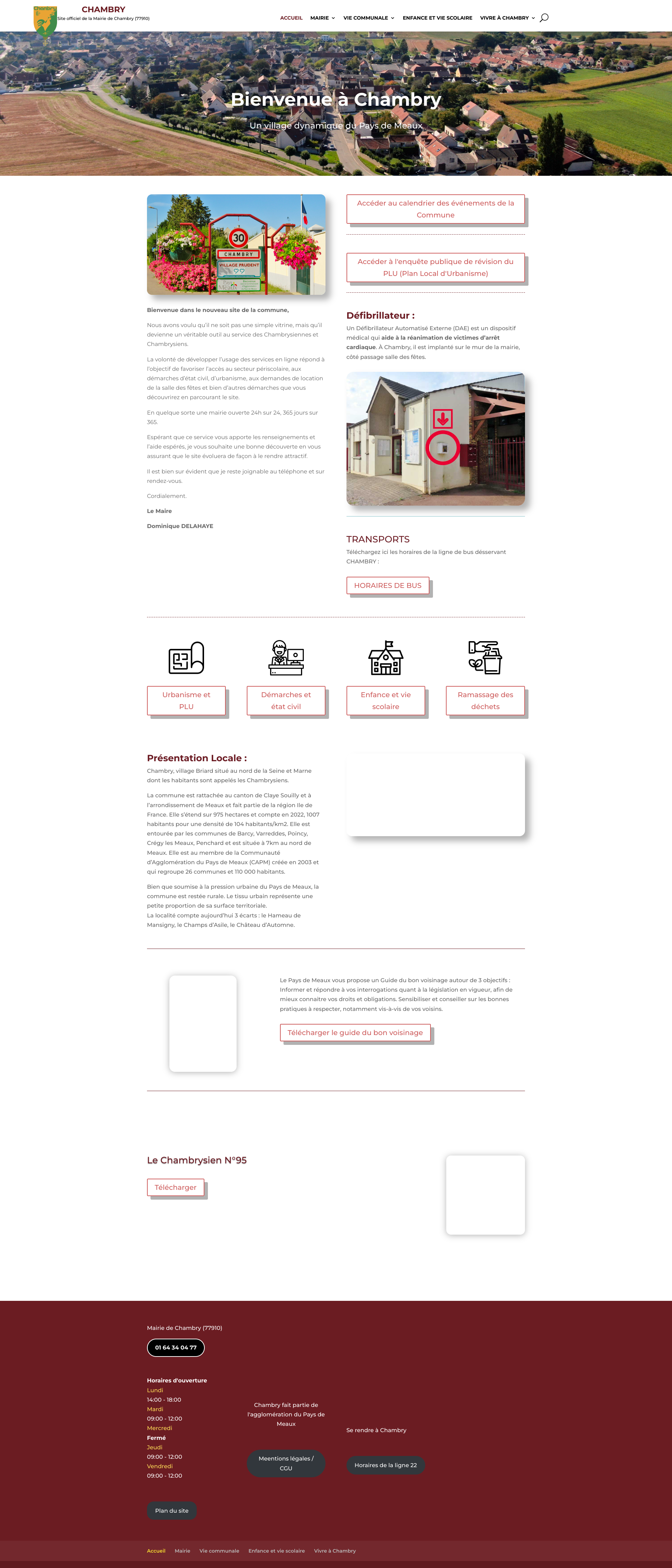 Aperçu du site