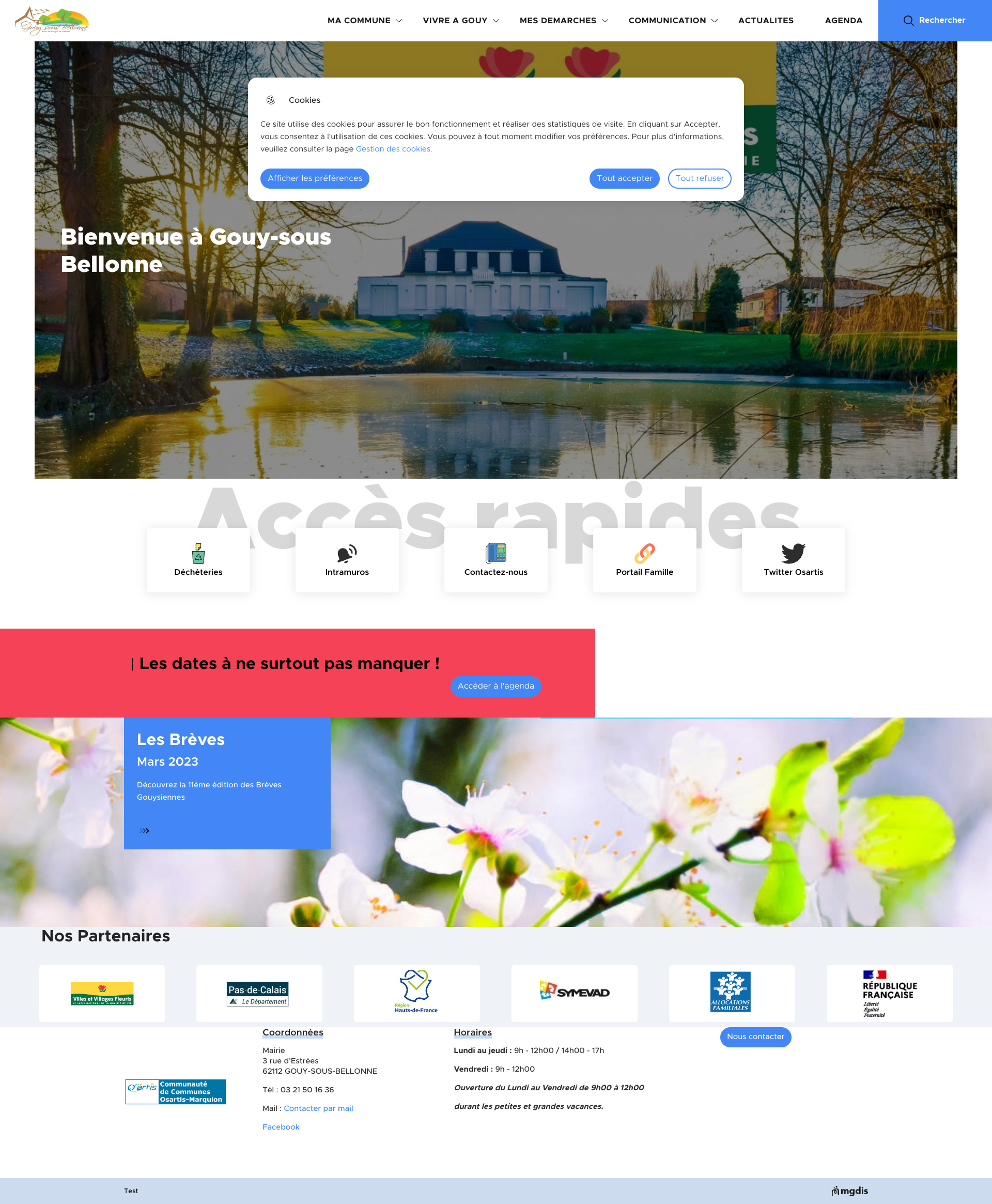 Aperçu du site