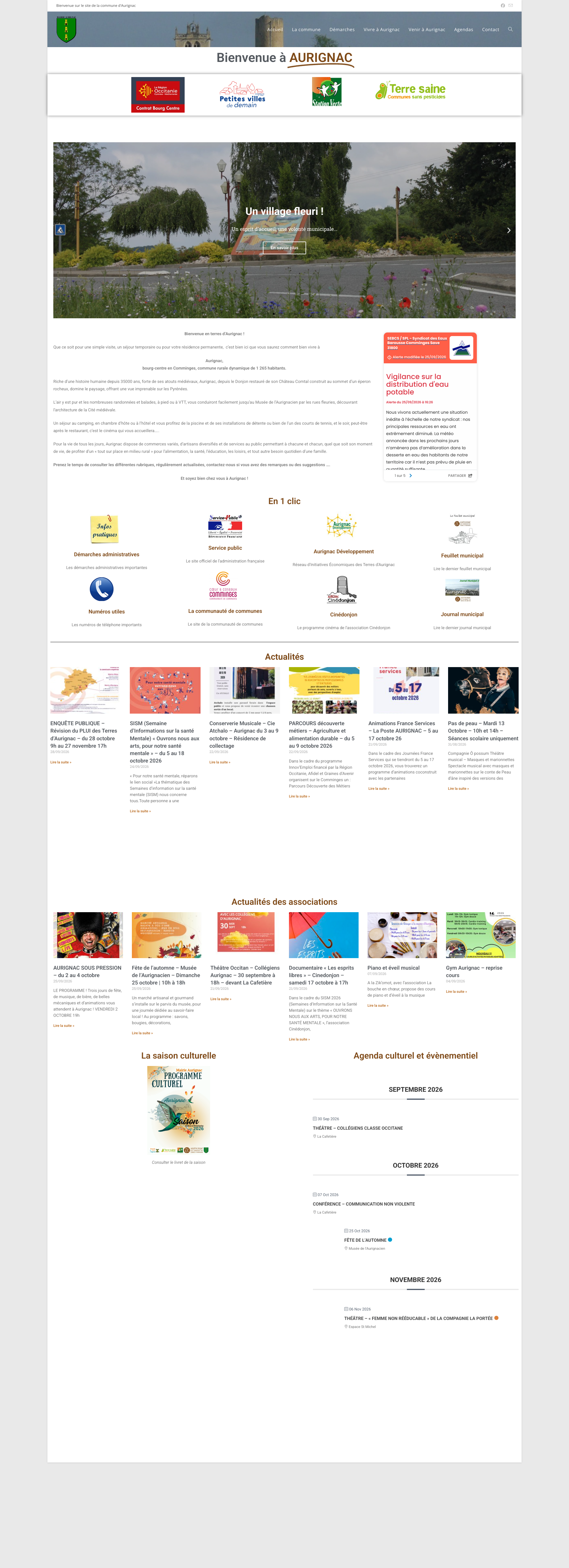 Aperçu du site