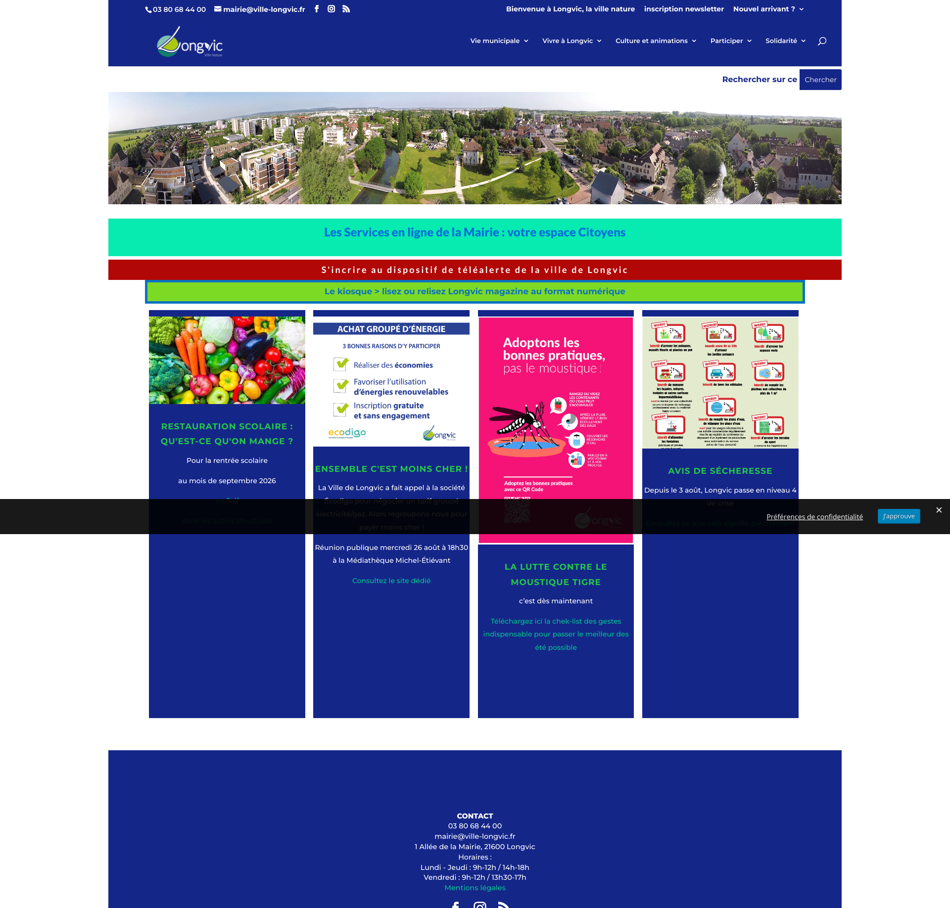 Aperçu du site