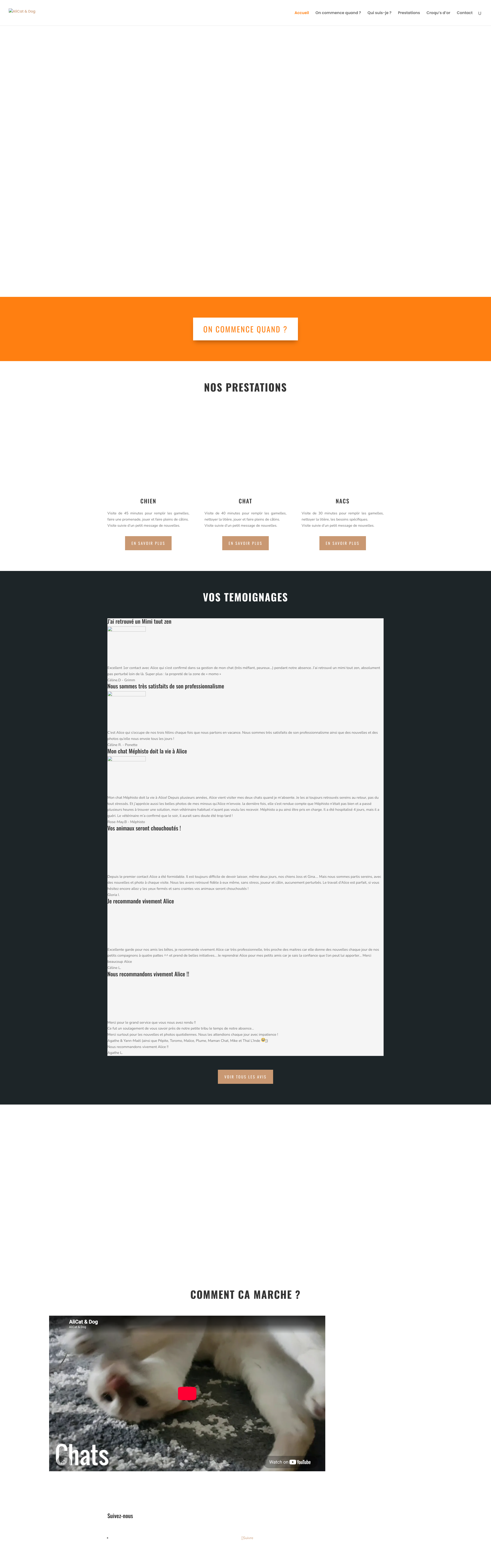 Aperçu du site