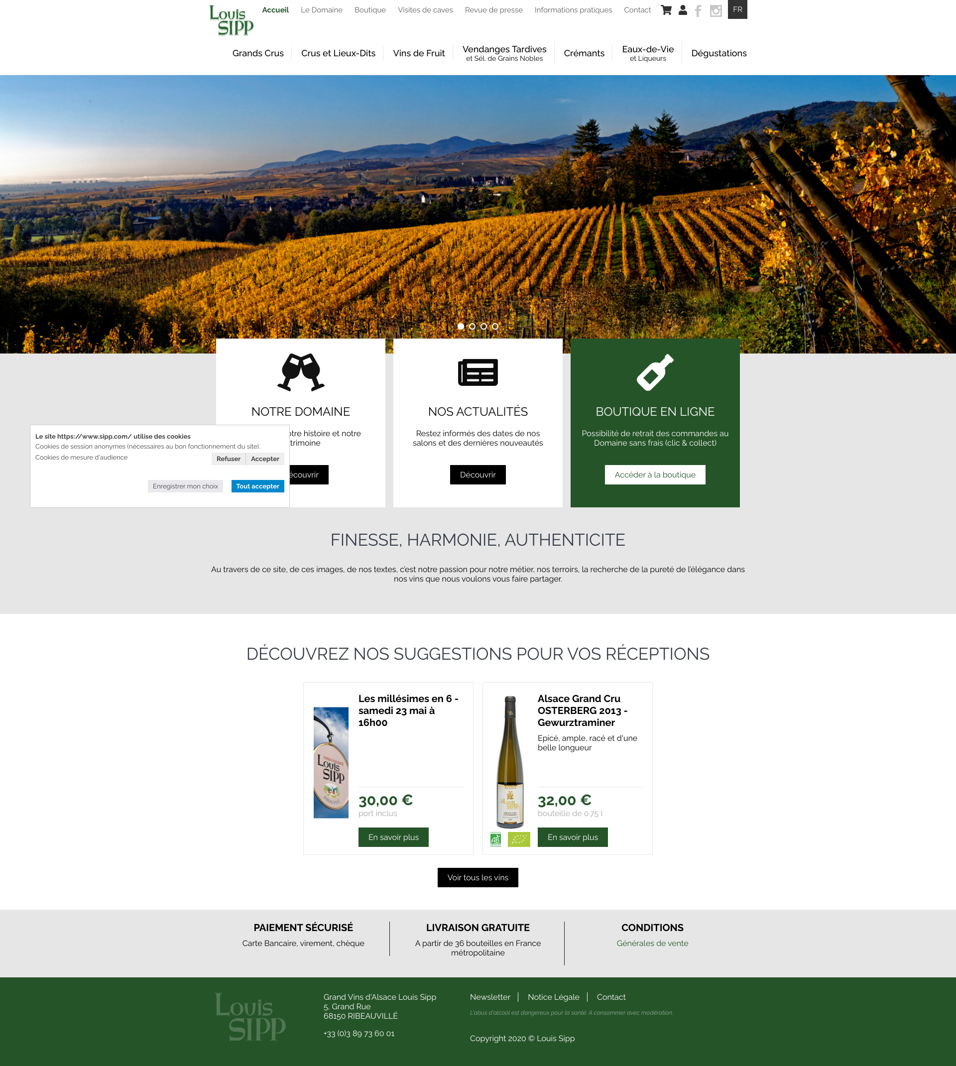 Aperçu du site