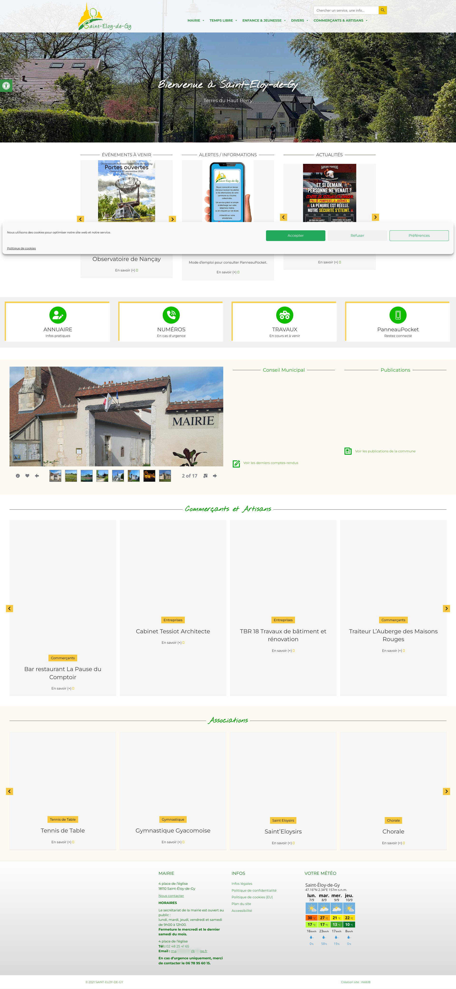 Aperçu du site