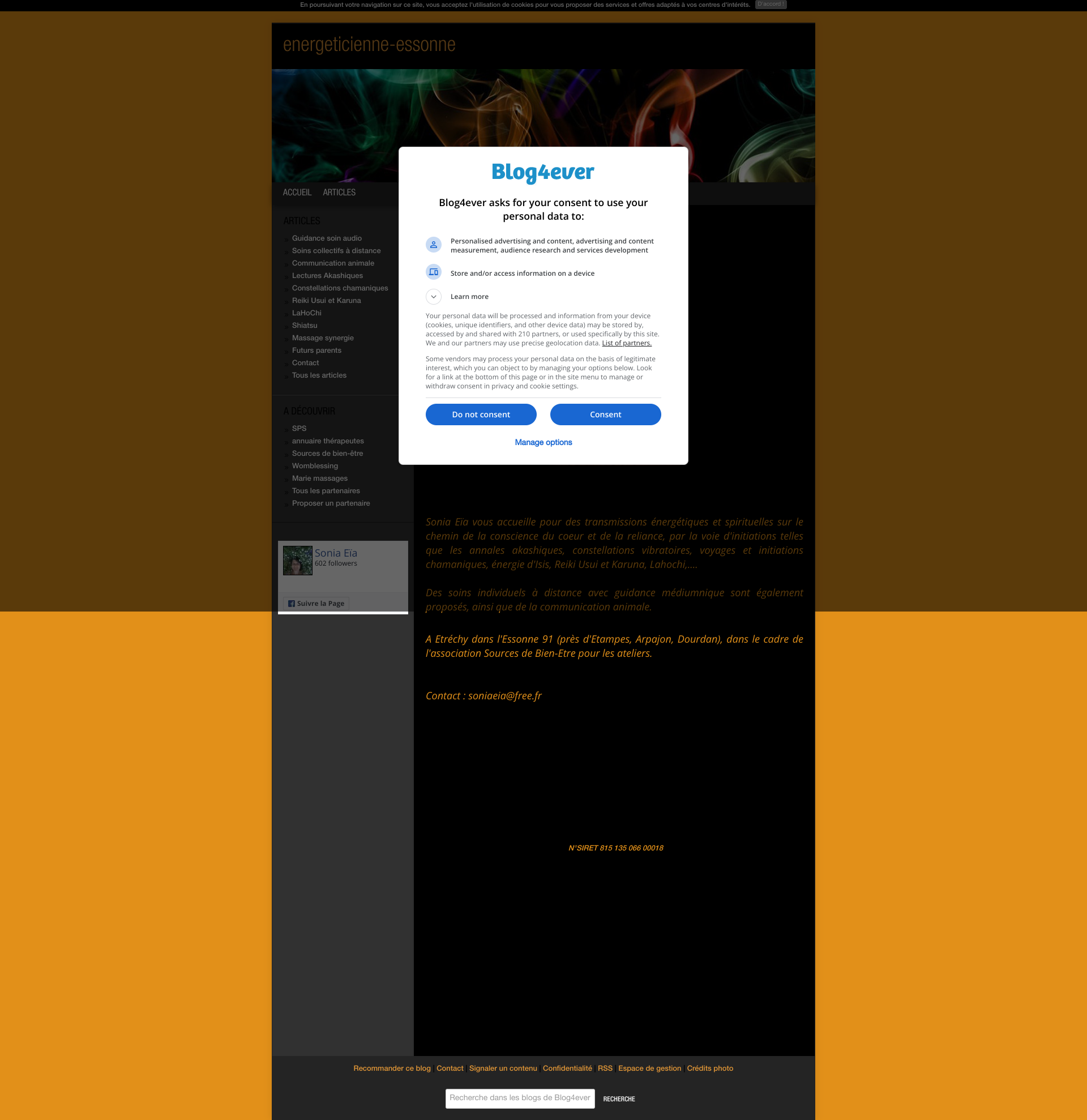 Aperçu du site