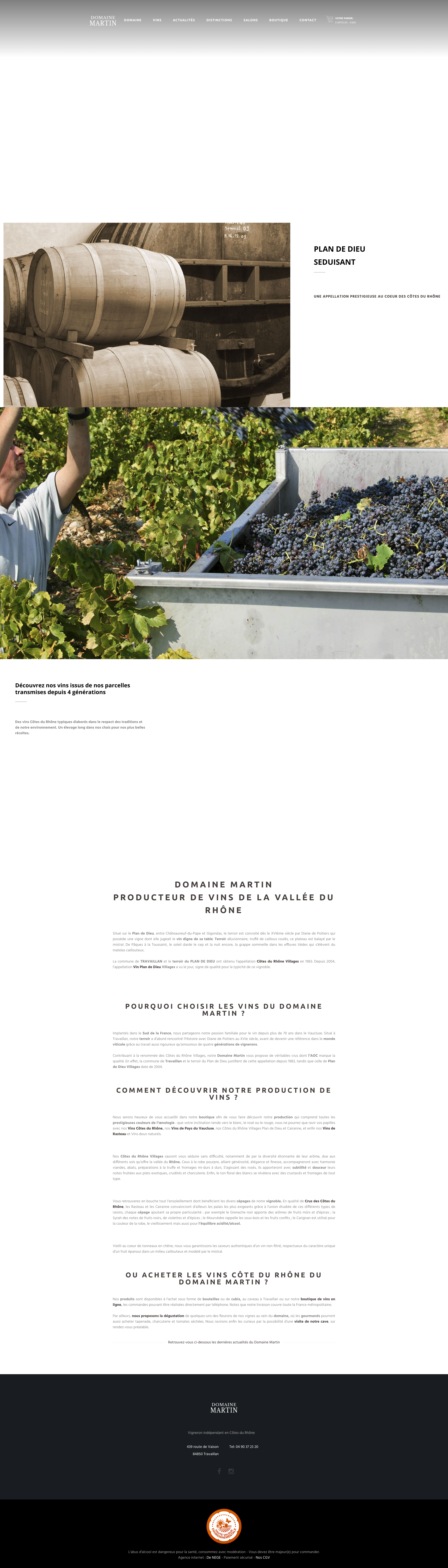 Aperçu du site