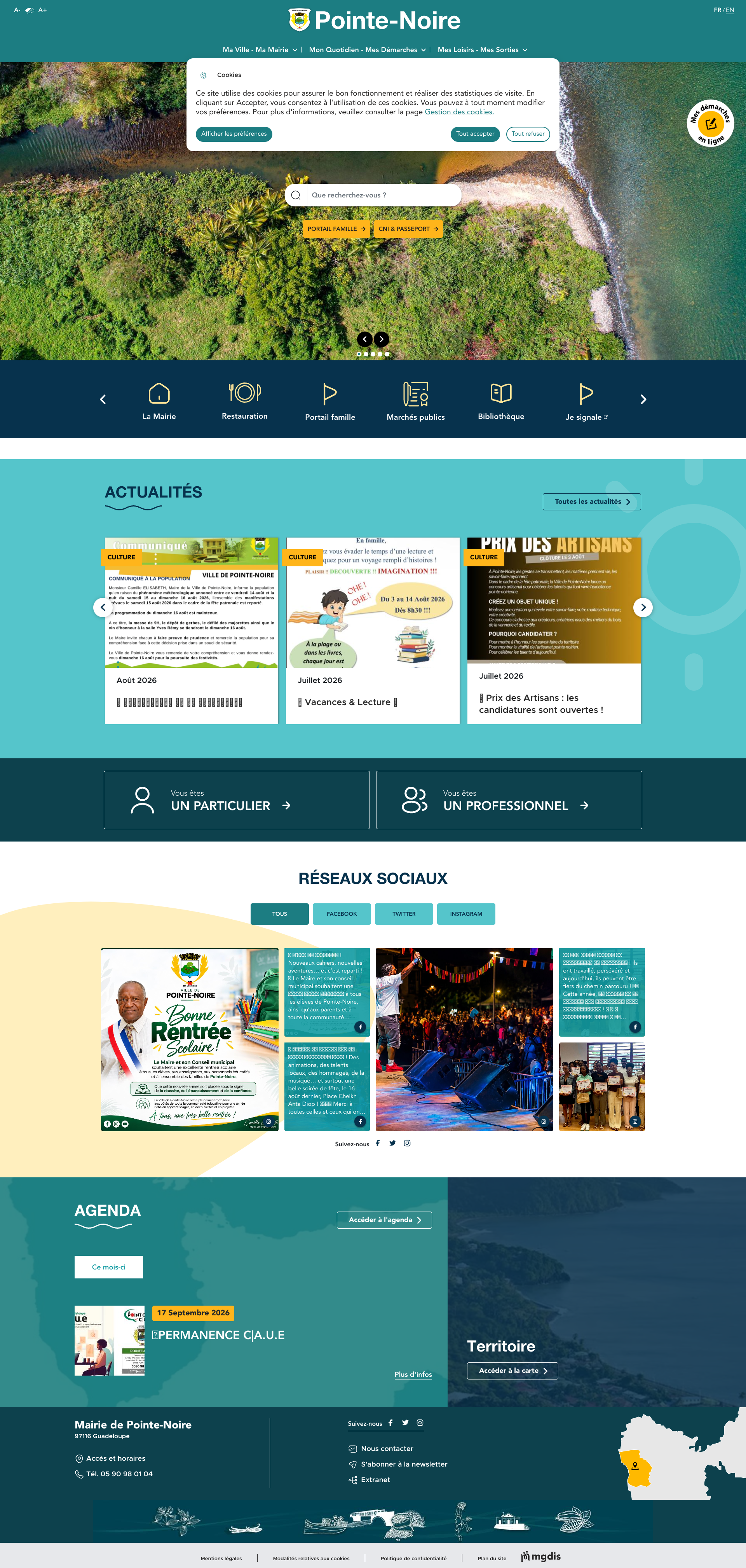 Aperçu du site
