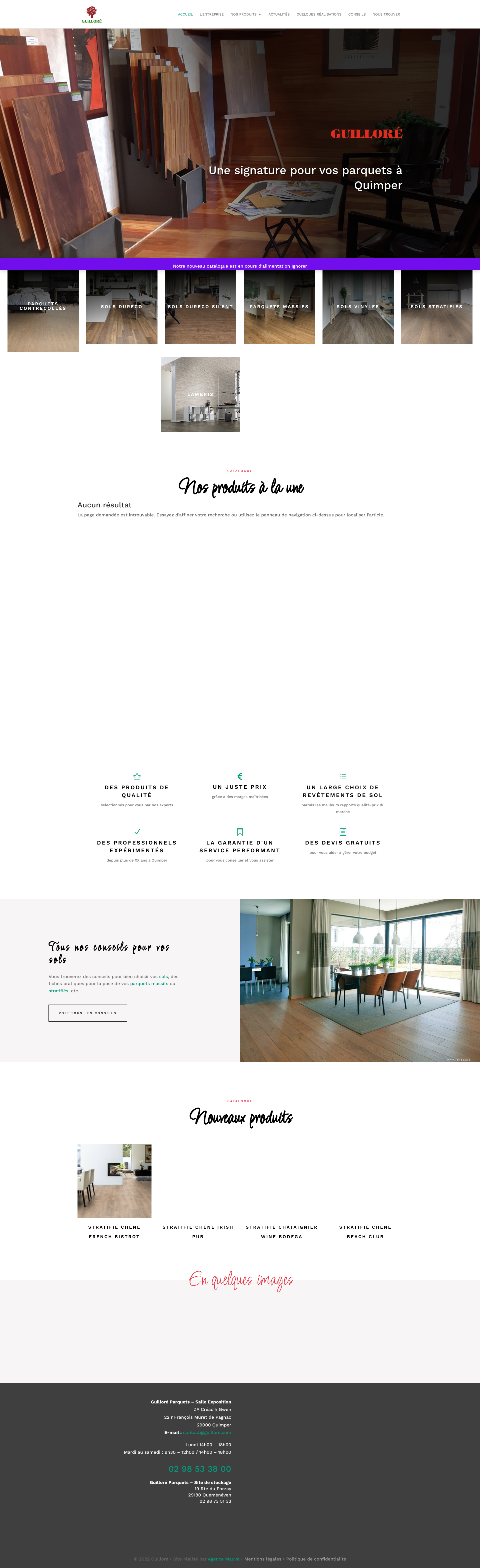 Aperçu du site