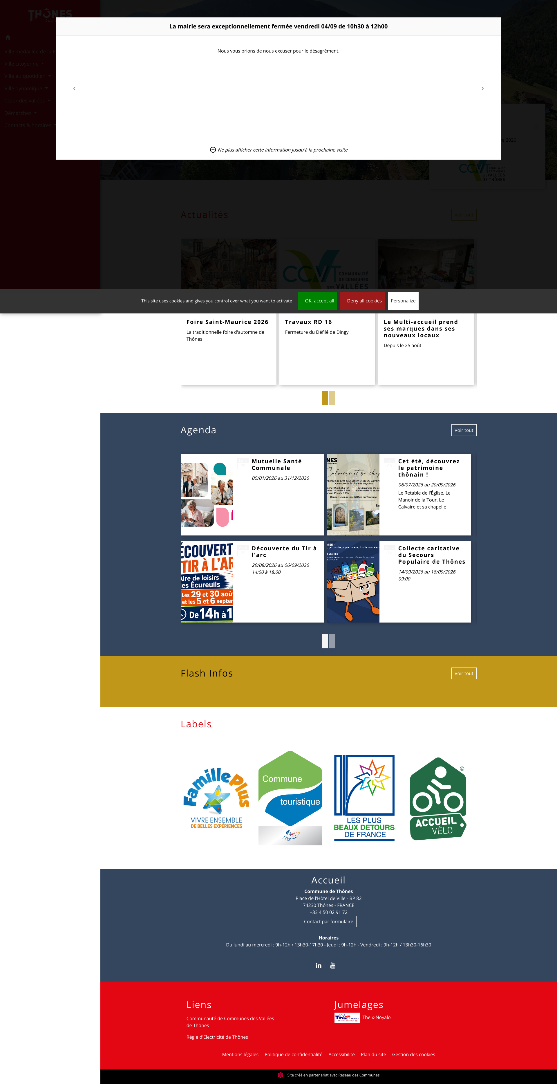 Aperçu du site