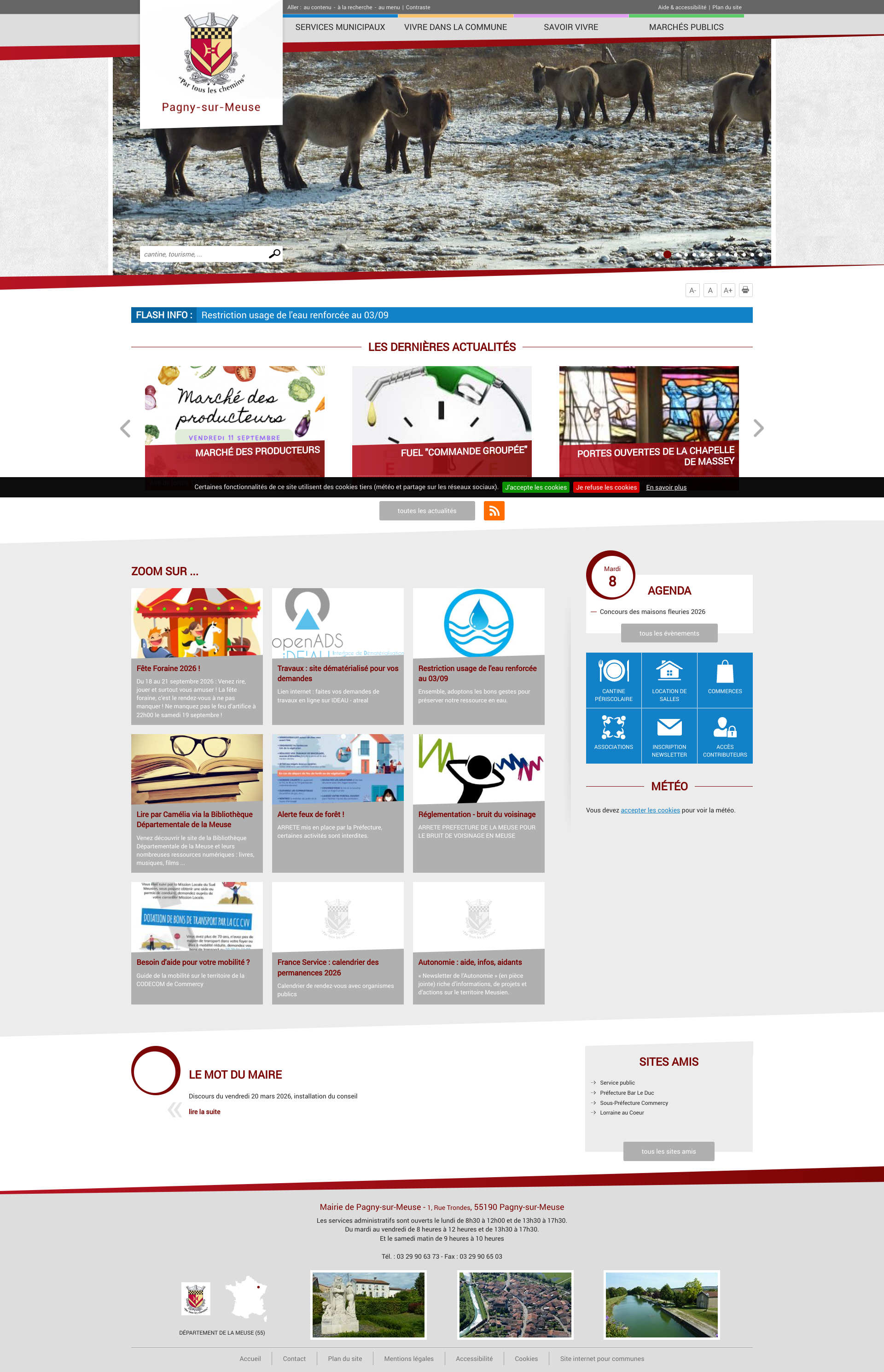 Aperçu du site