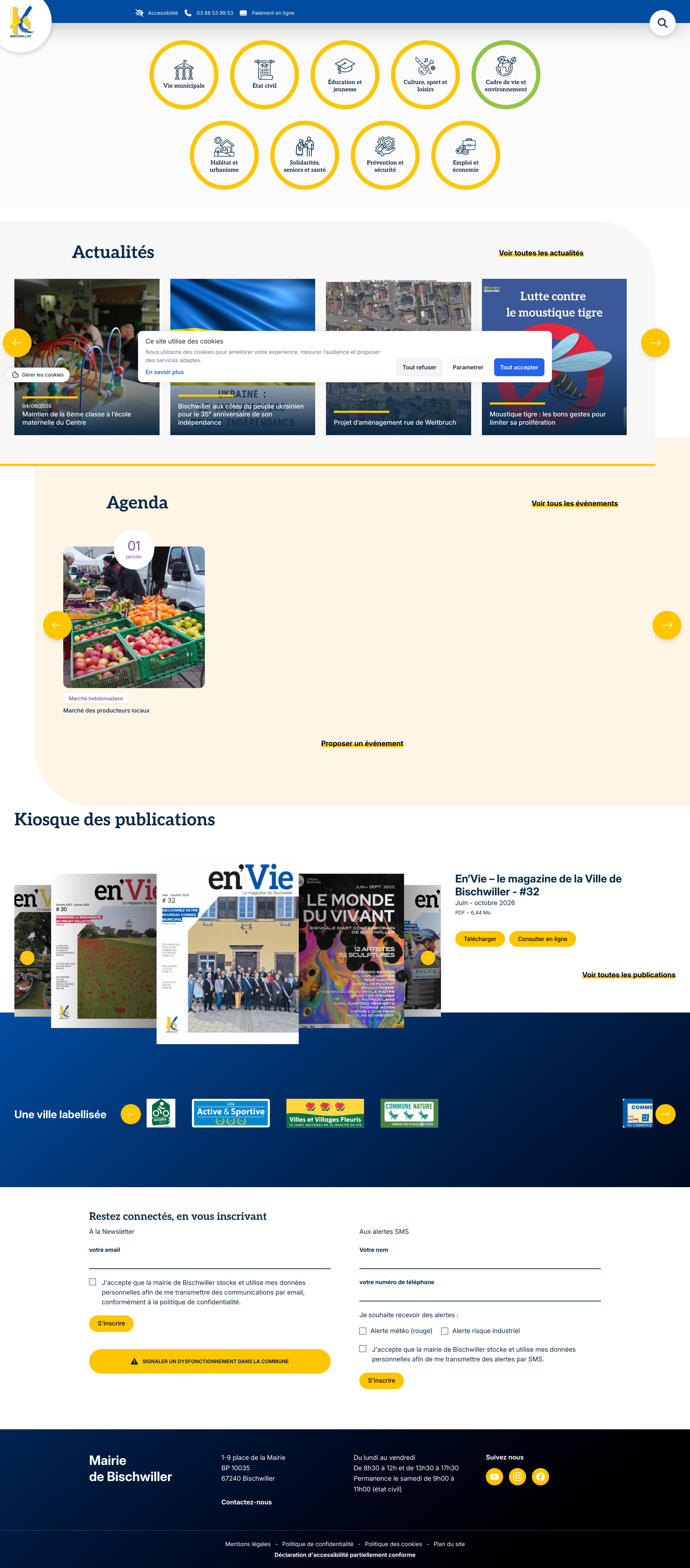 Aperçu du site