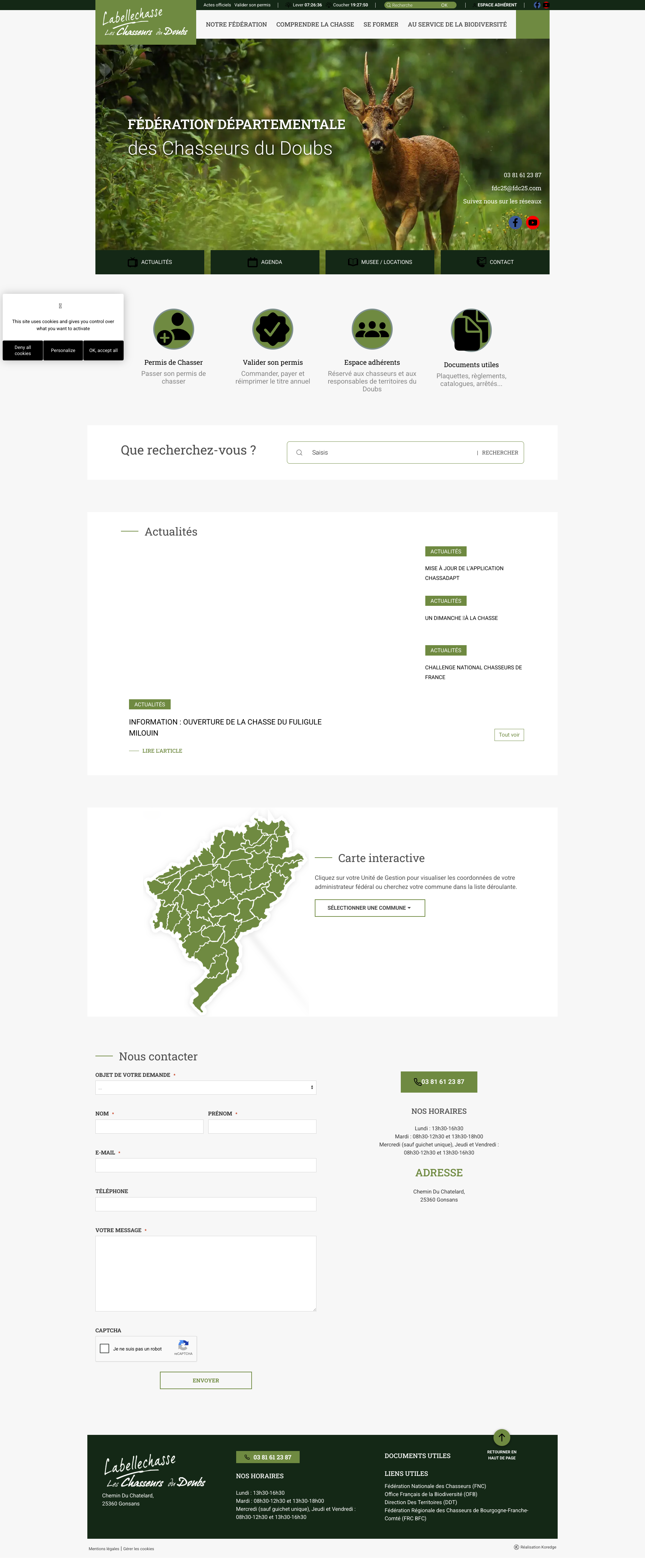 Aperçu du site