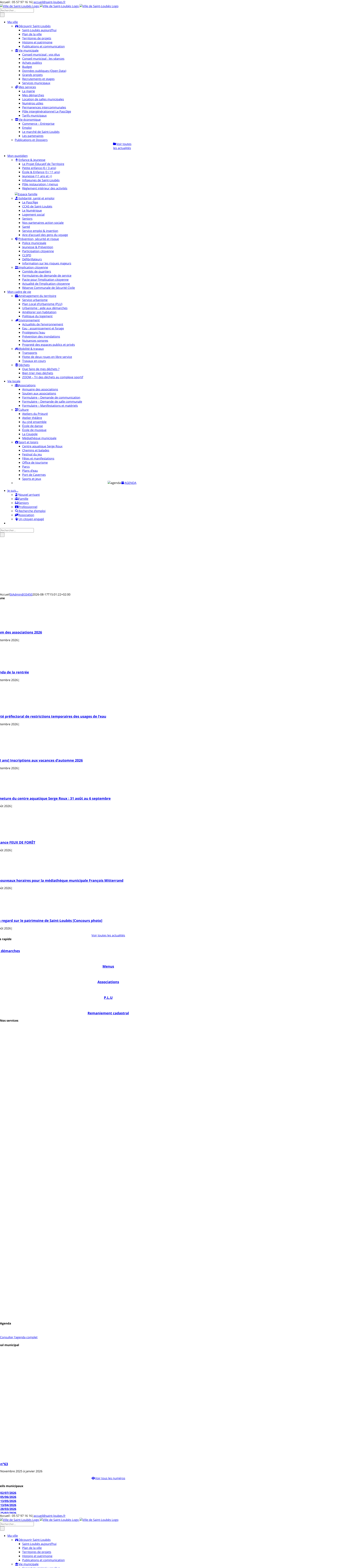 Aperçu du site