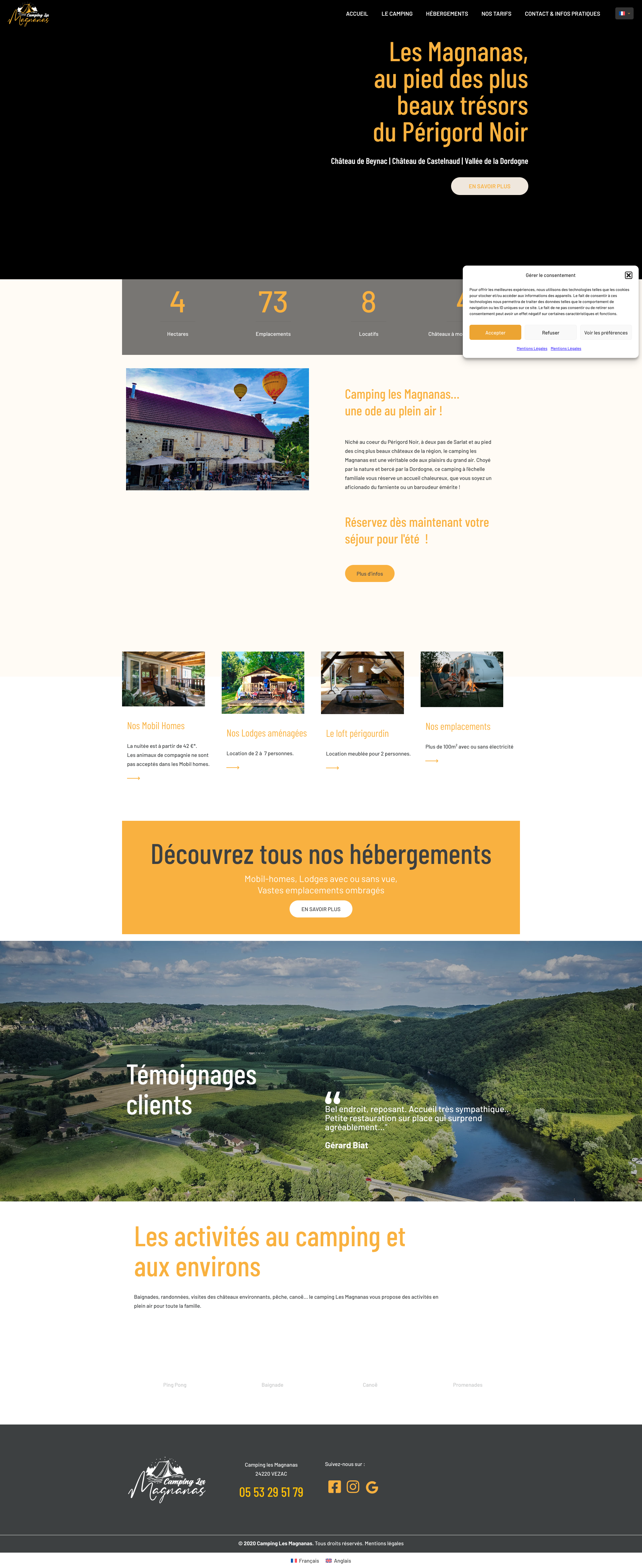 Aperçu du site