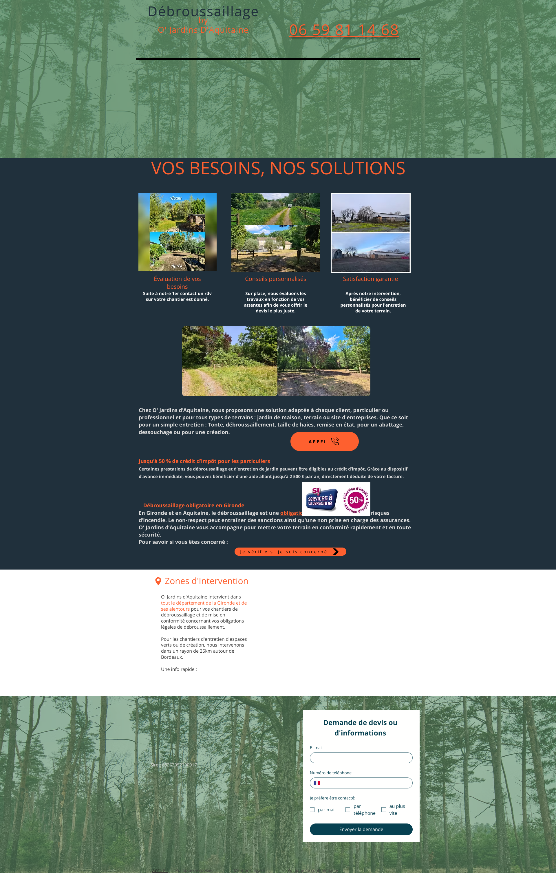 Aperçu du site