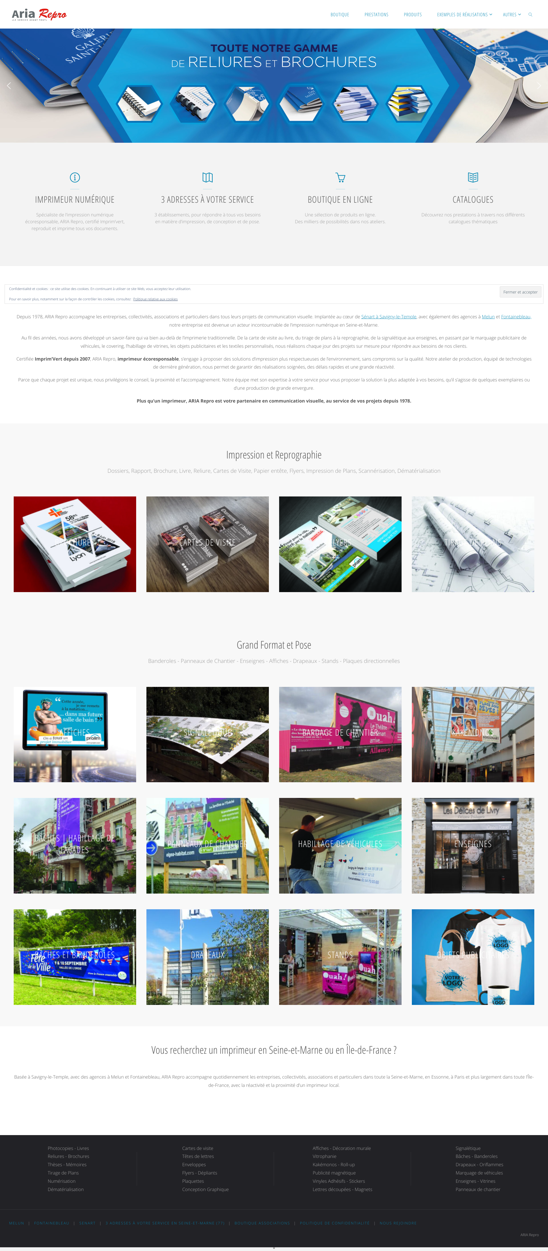 Aperçu du site