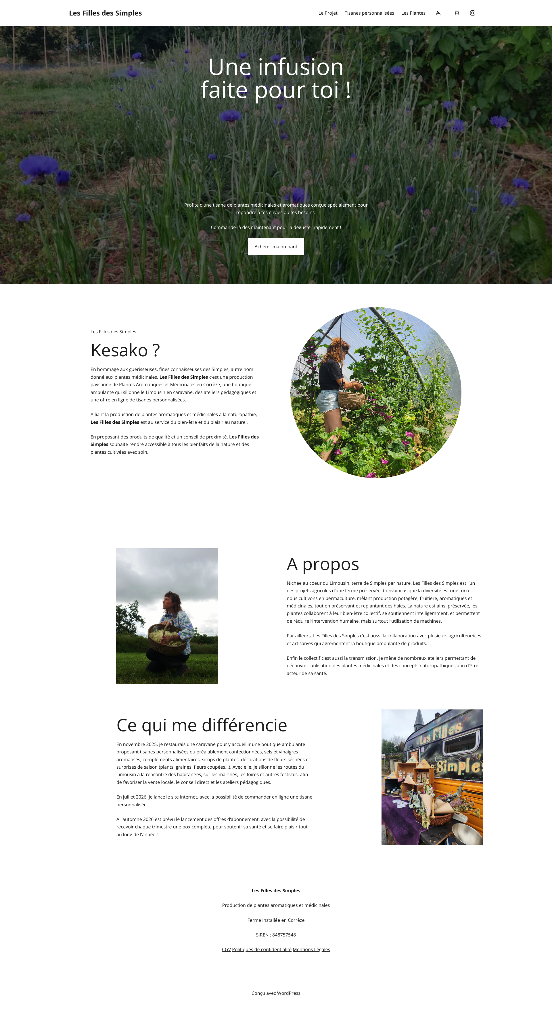 Aperçu du site