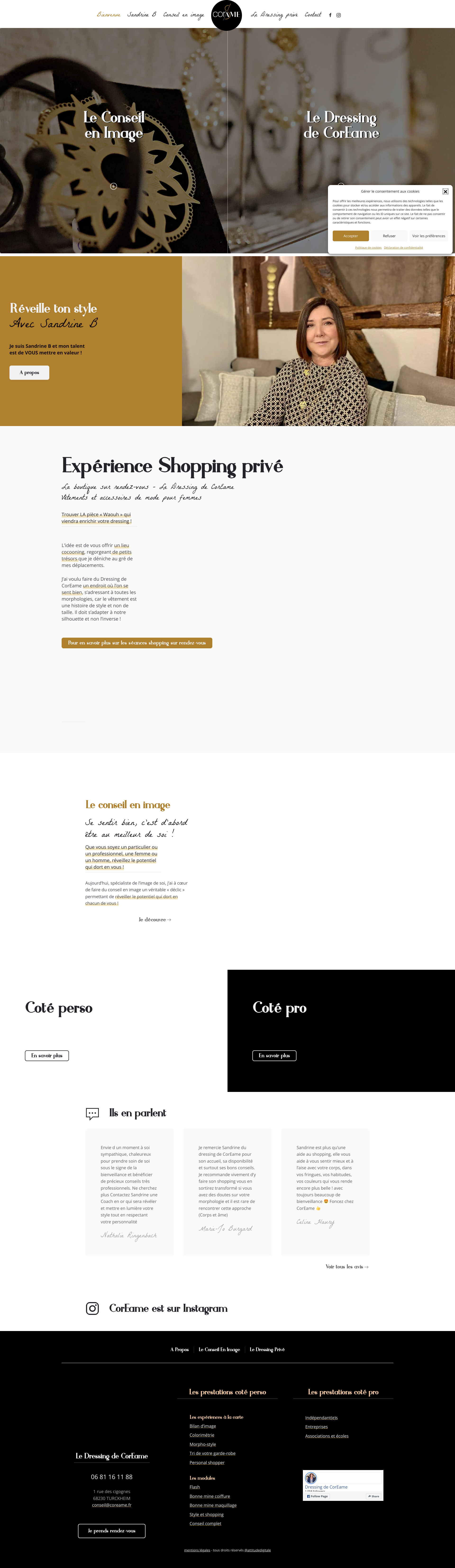 Aperçu du site
