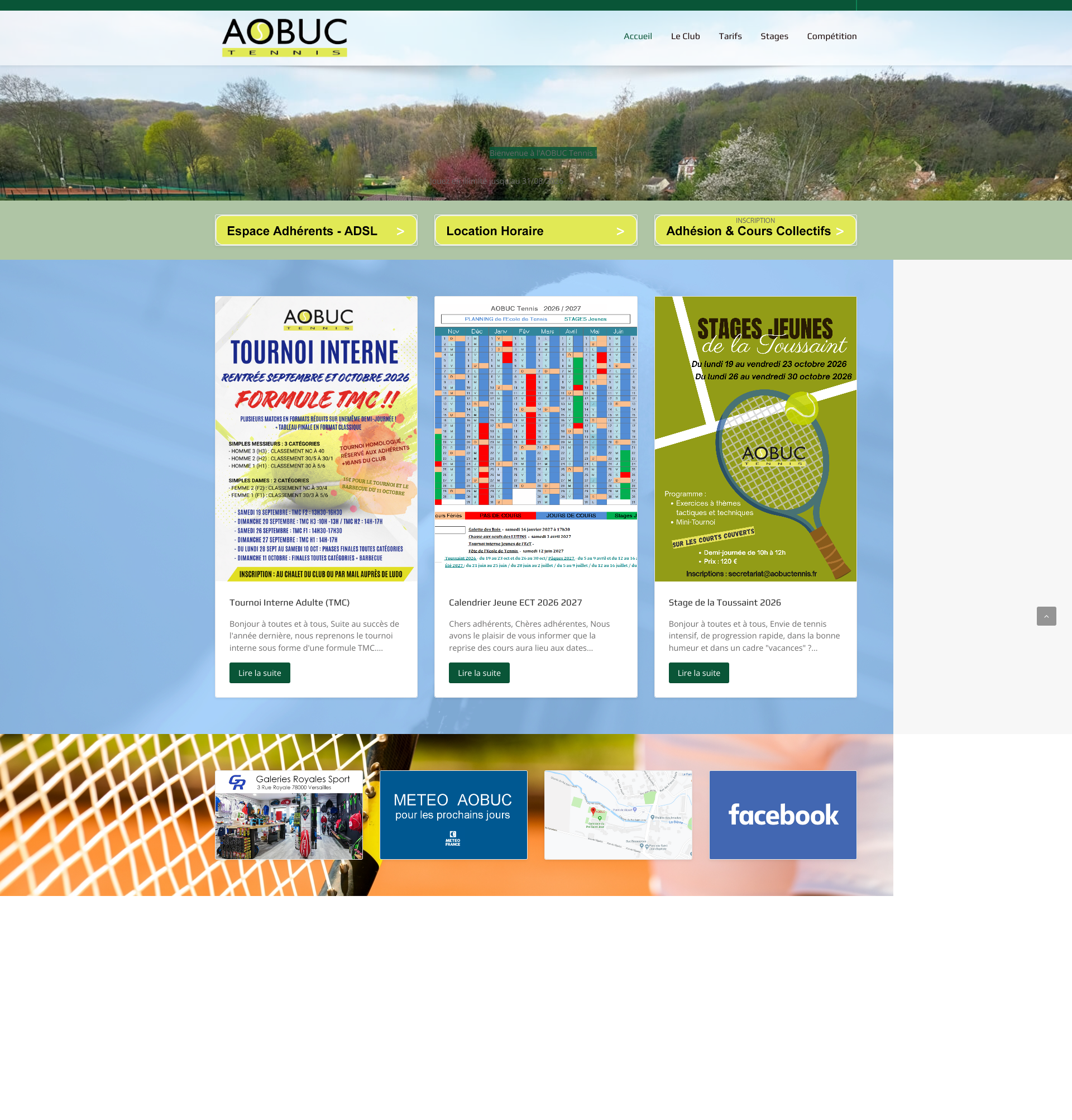 Aperçu du site