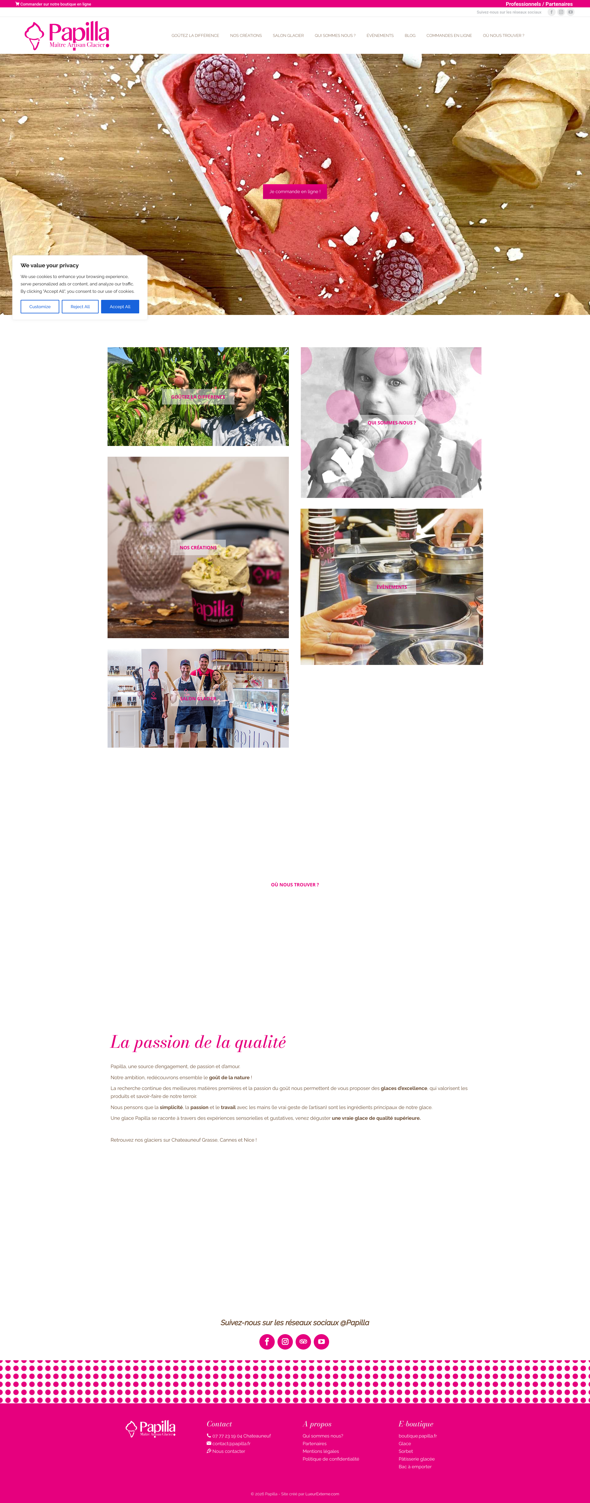 Aperçu du site