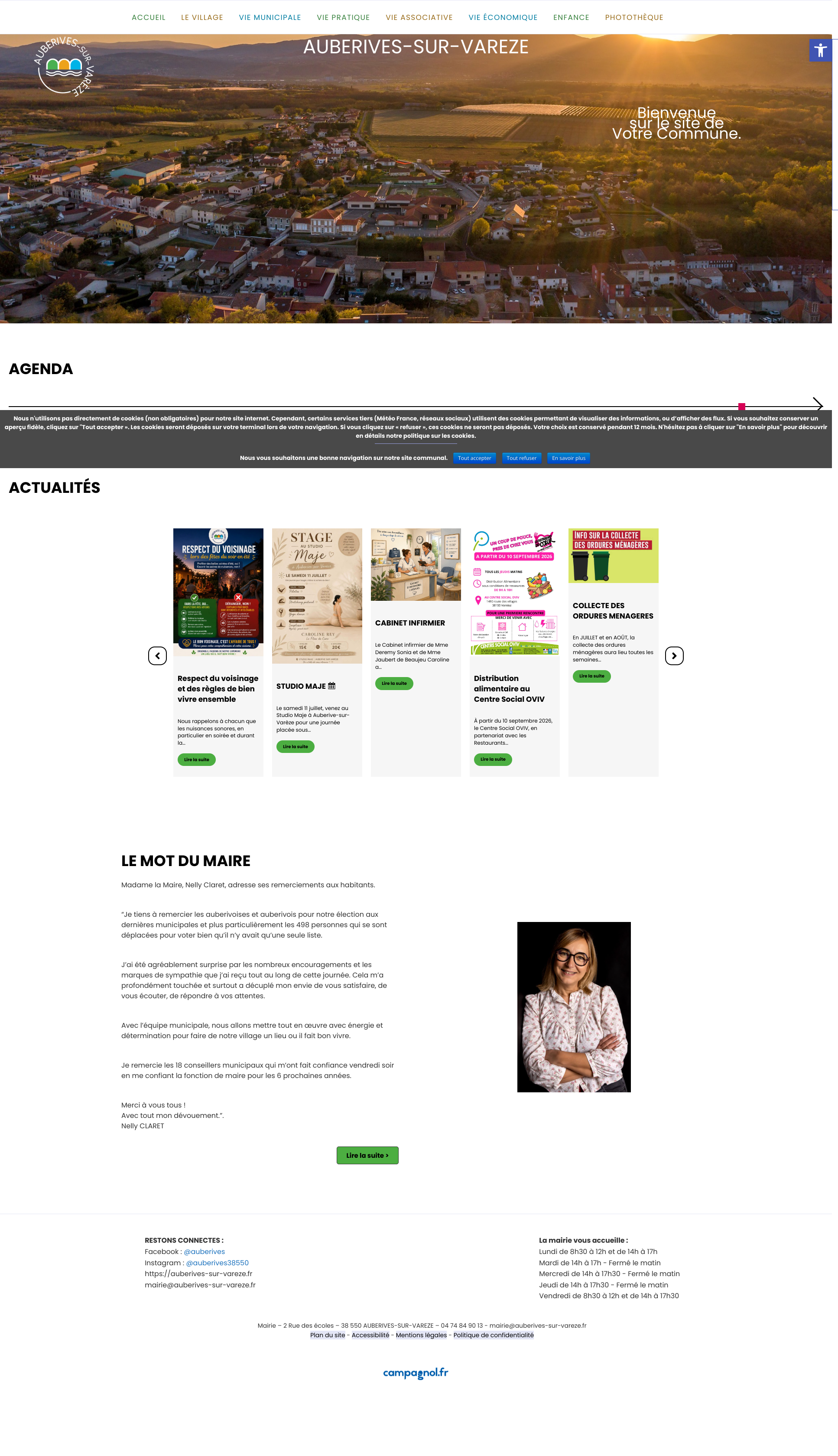 Aperçu du site