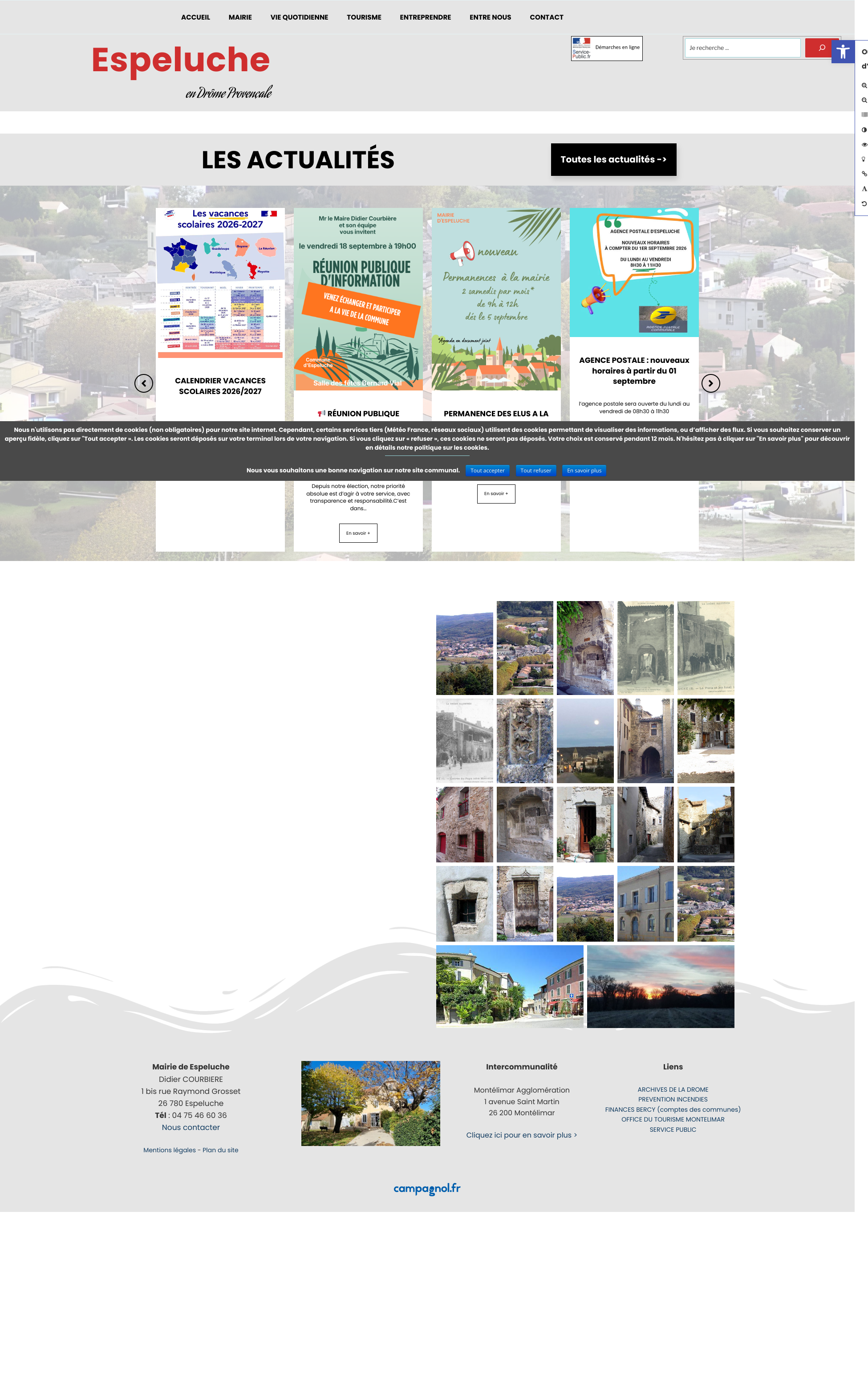 Aperçu du site