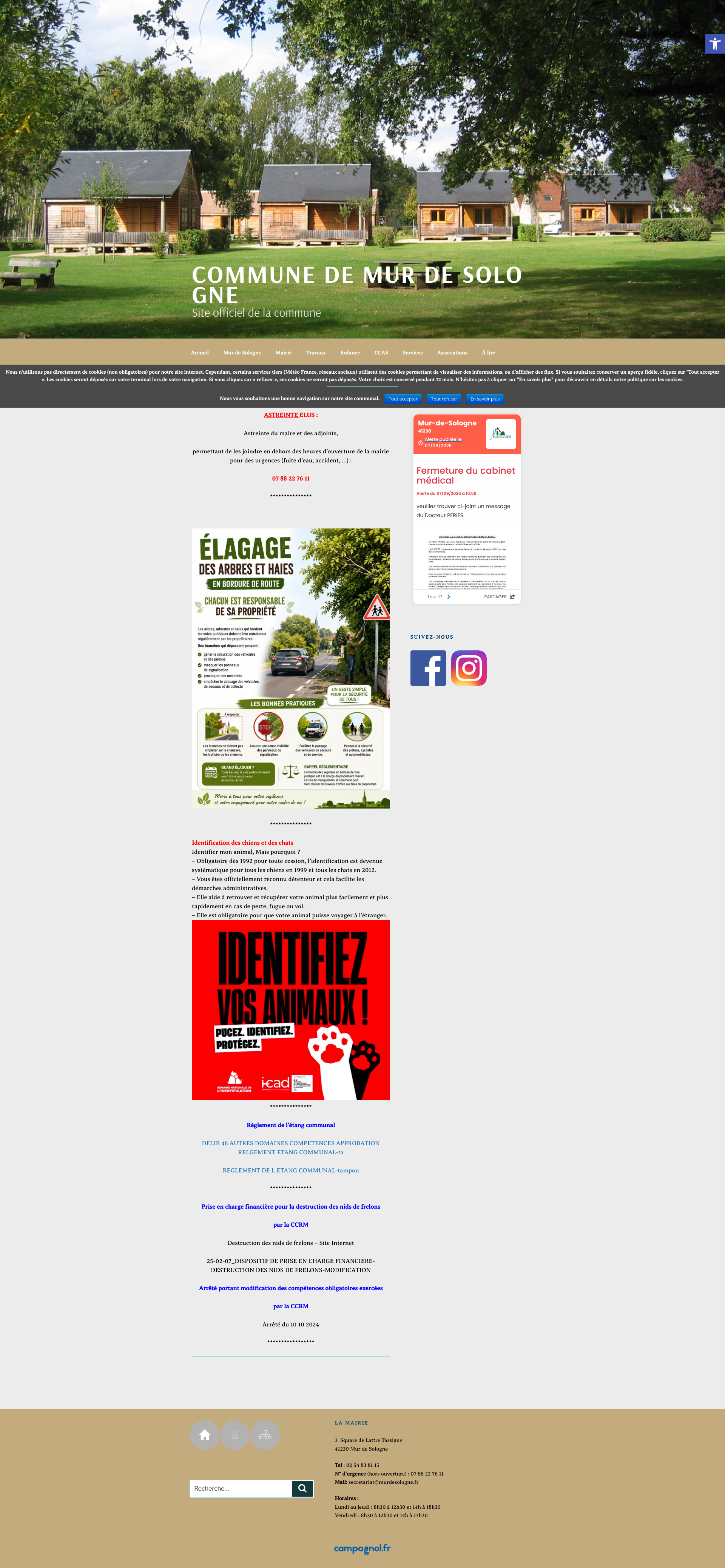 Aperçu du site