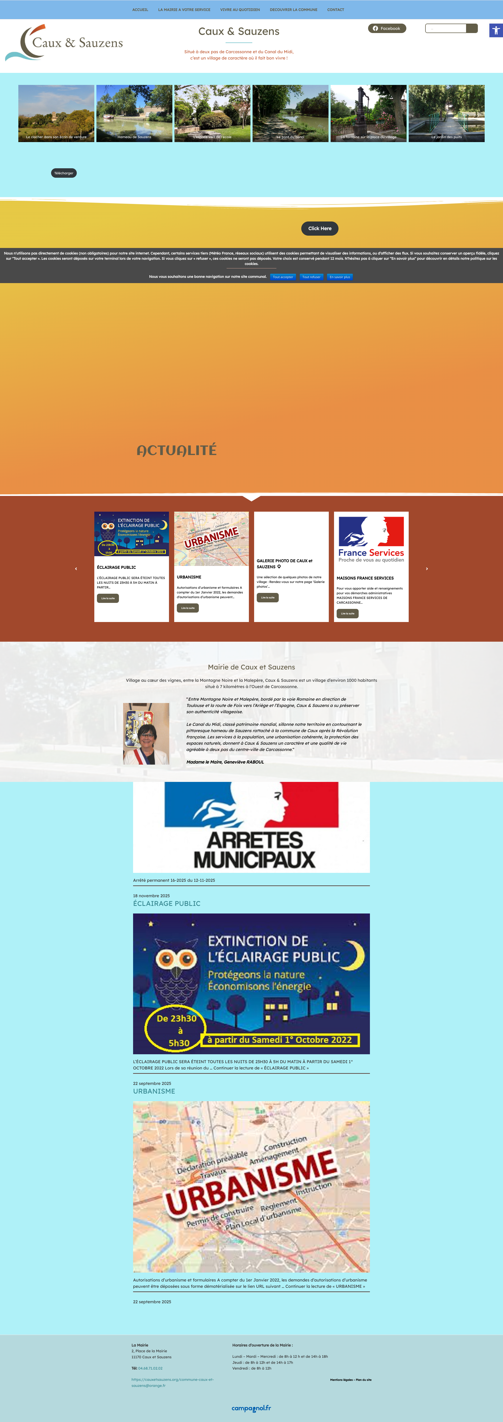 Aperçu du site